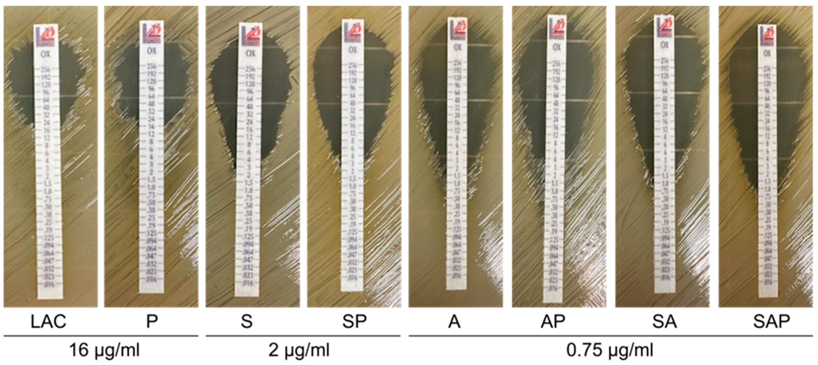 Microorganisms 13 00181 g006