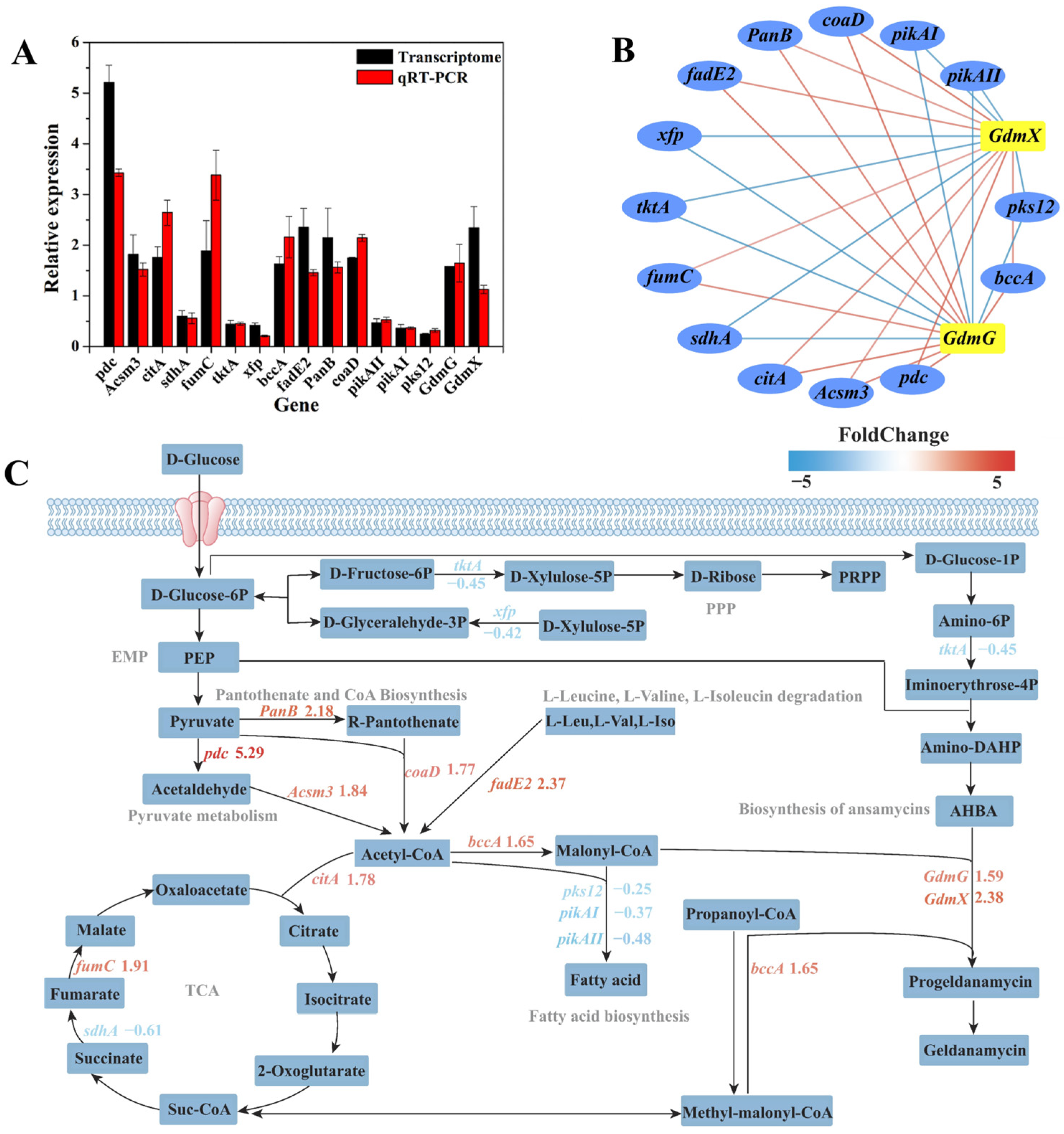 Microorganisms 13 00186 g006 Microorganisms 13 00186 g006