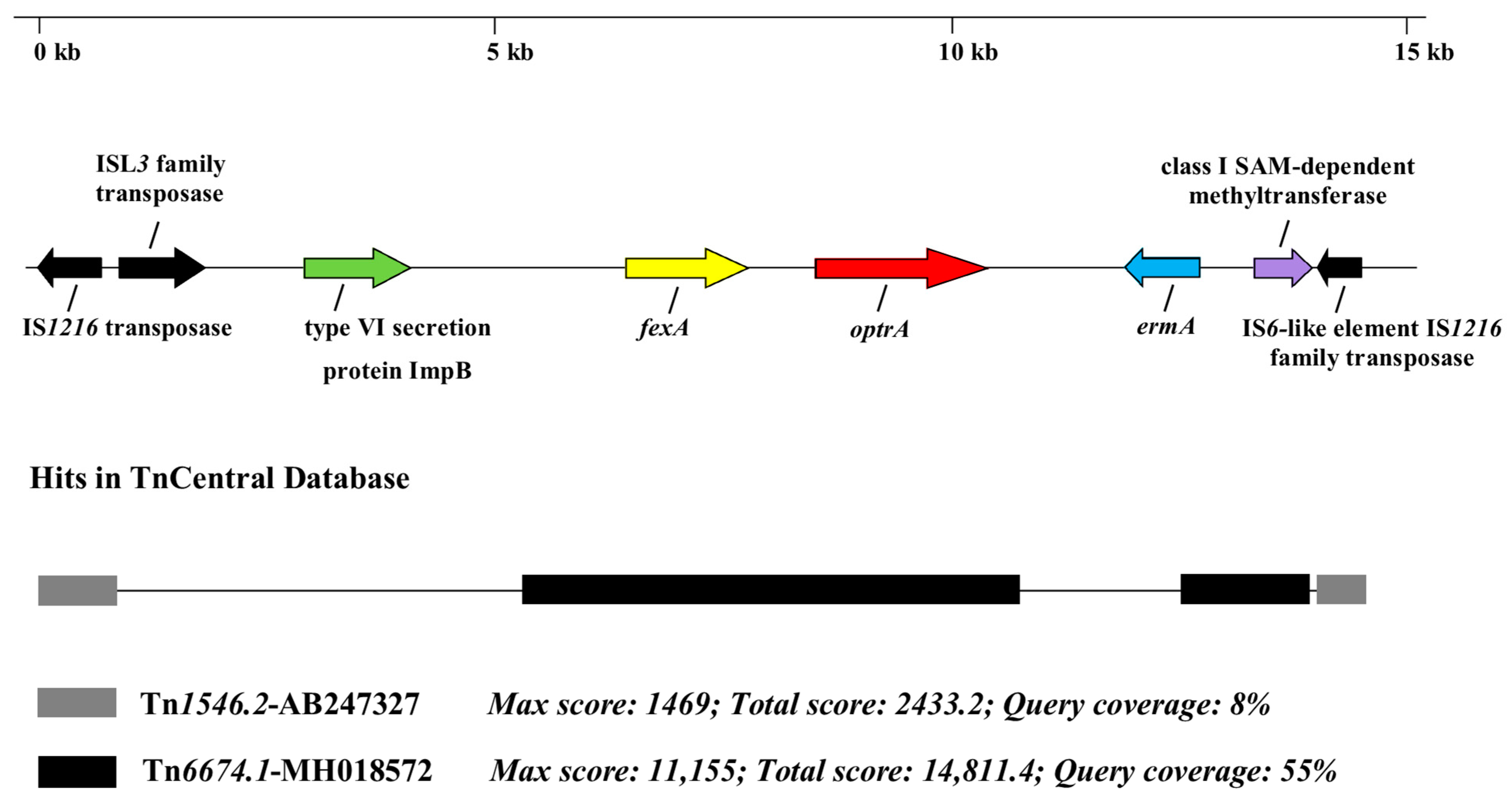 Microorganisms 13 00195 g002