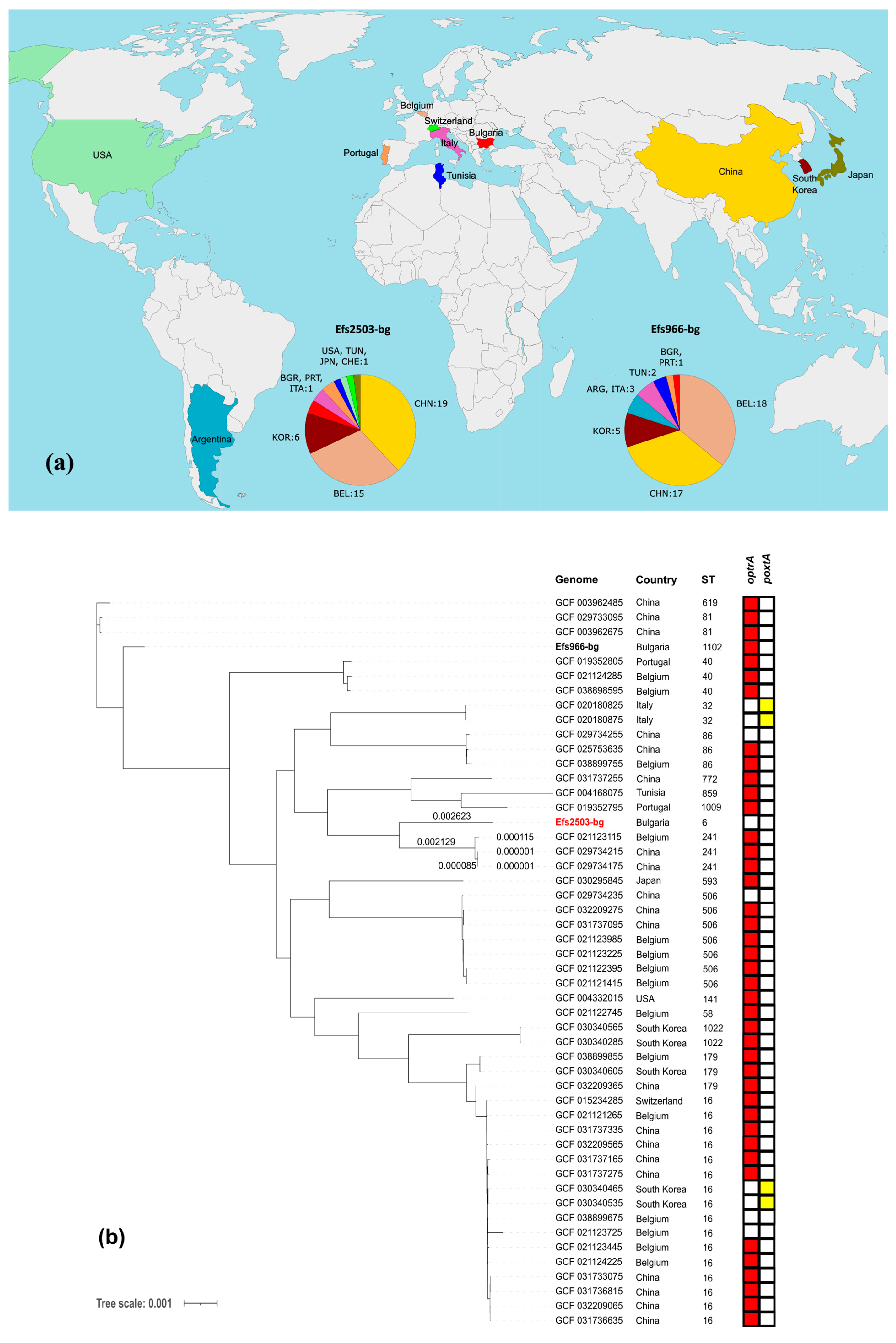 Microorganisms 13 00195 g005a