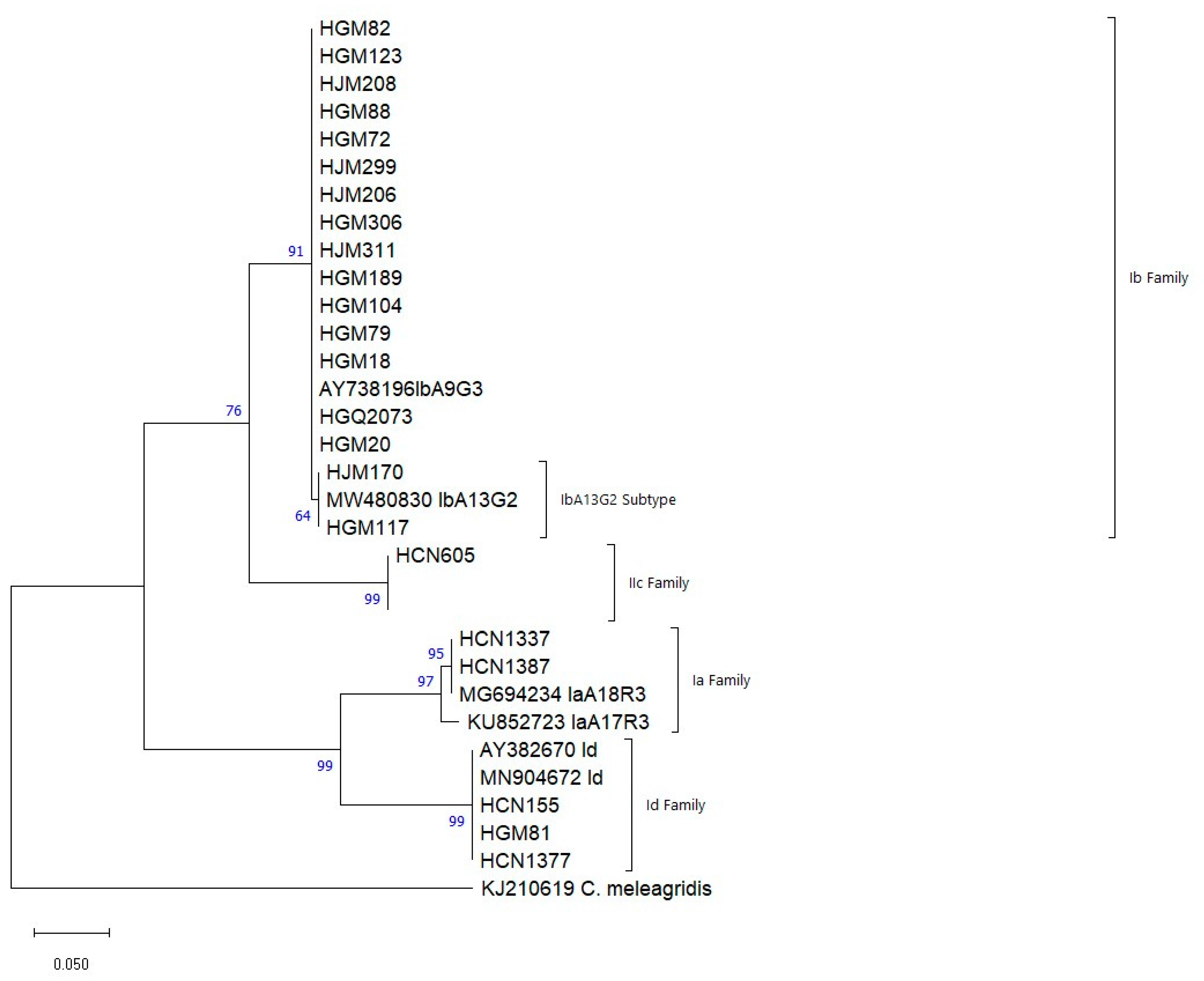 Microorganisms 13 00196 g001