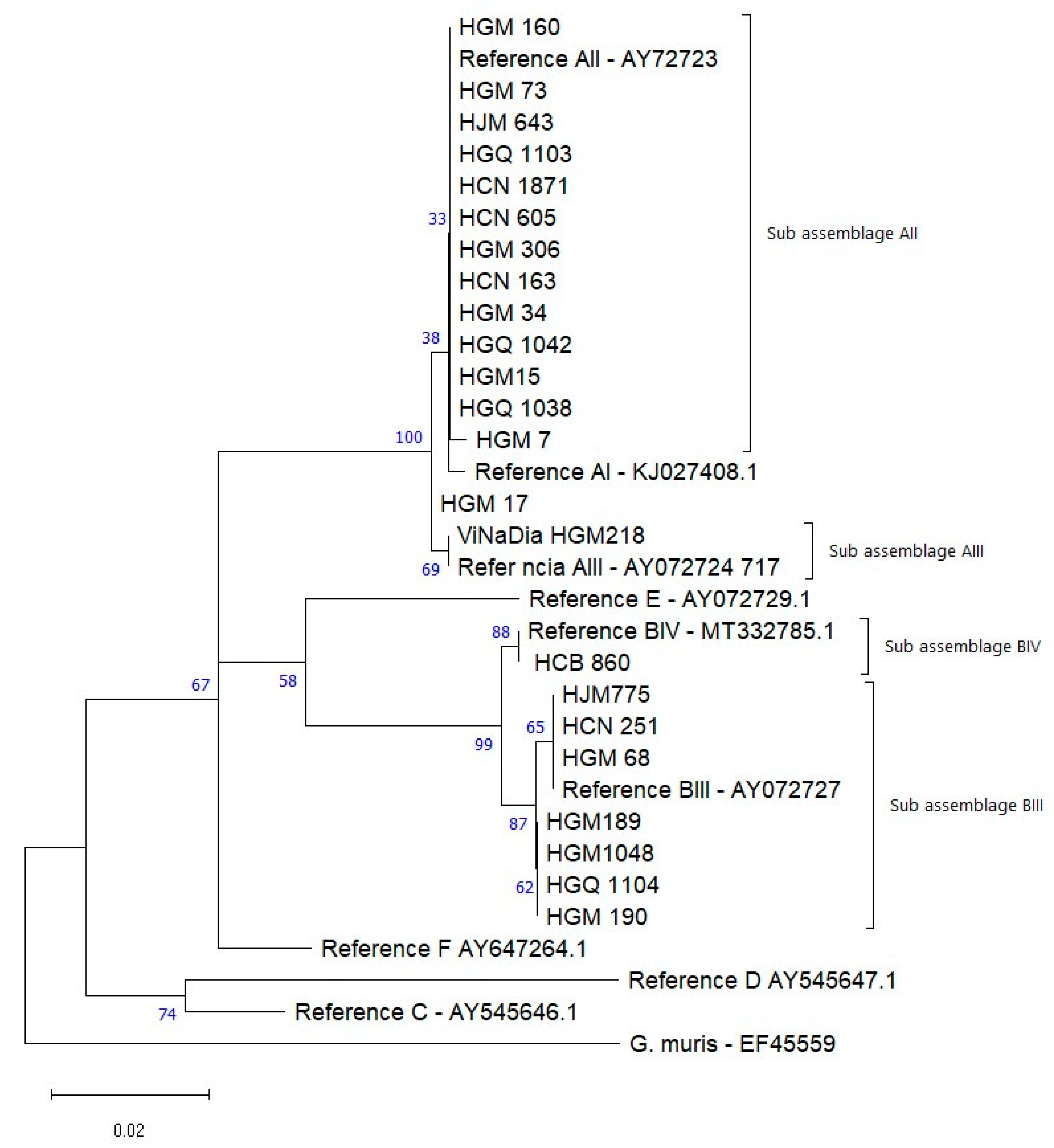 Microorganisms 13 00196 g002