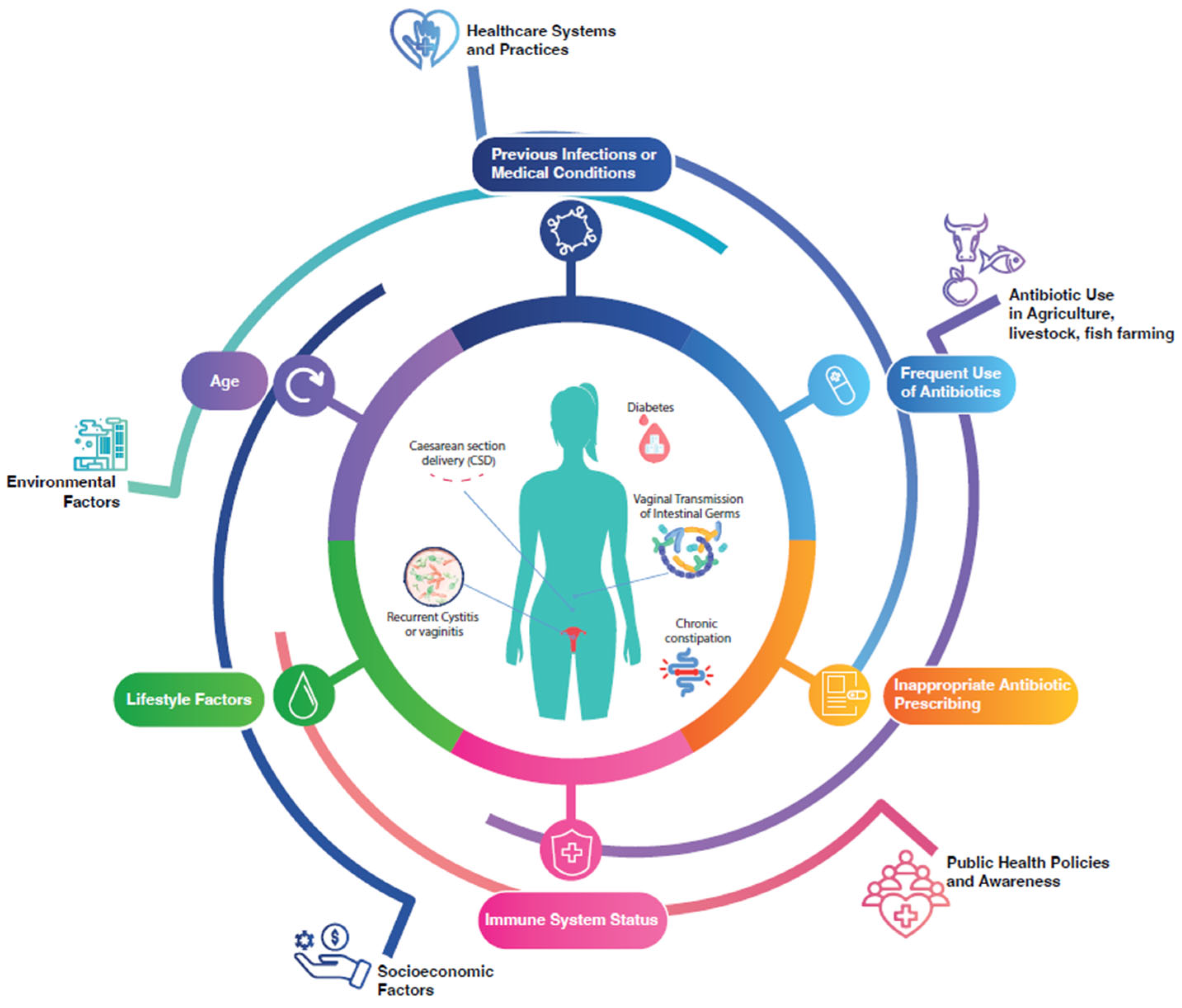 Microorganisms 13 00197 g001