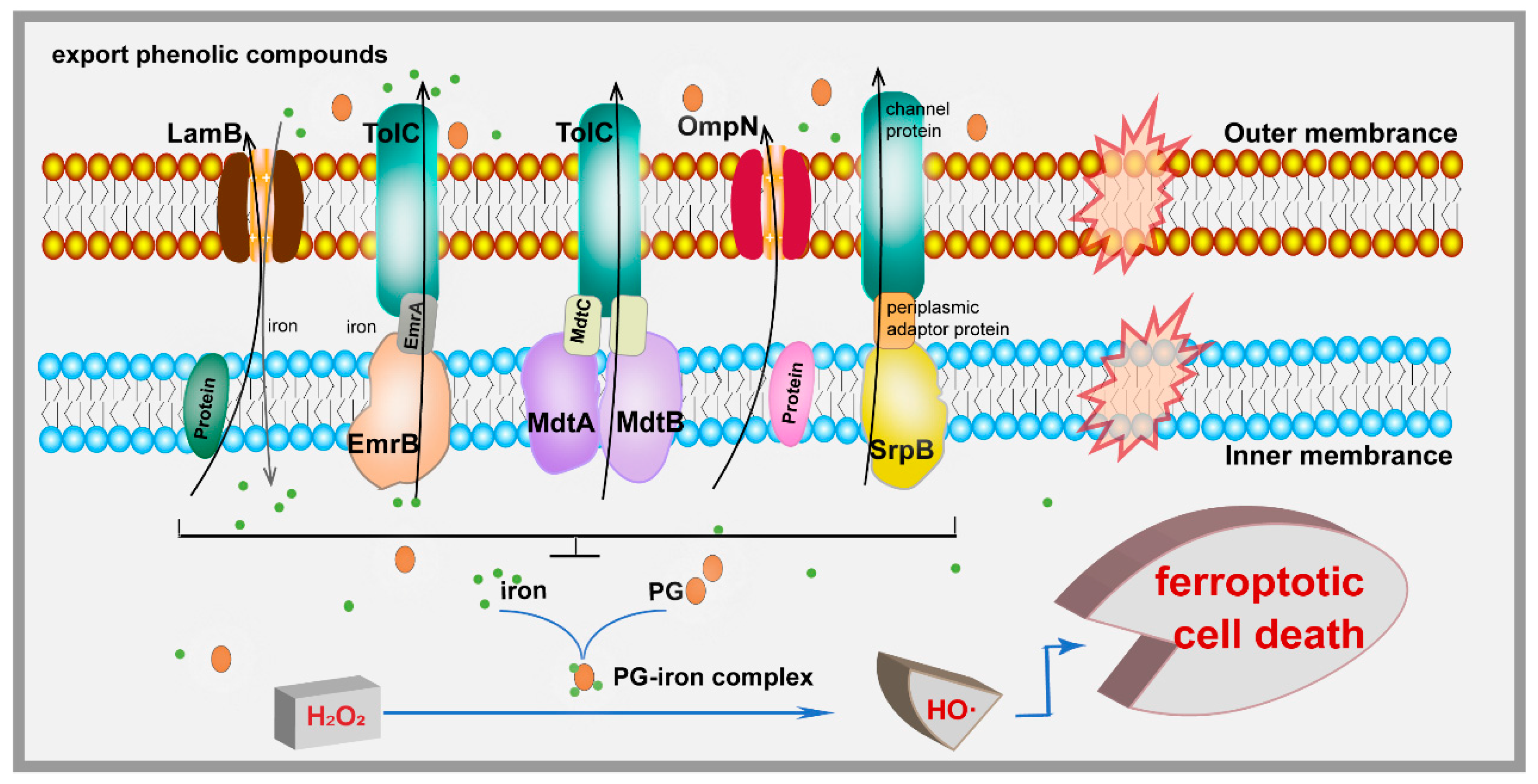 Microorganisms 13 00202 g005 Microorganisms 13 00202 g005