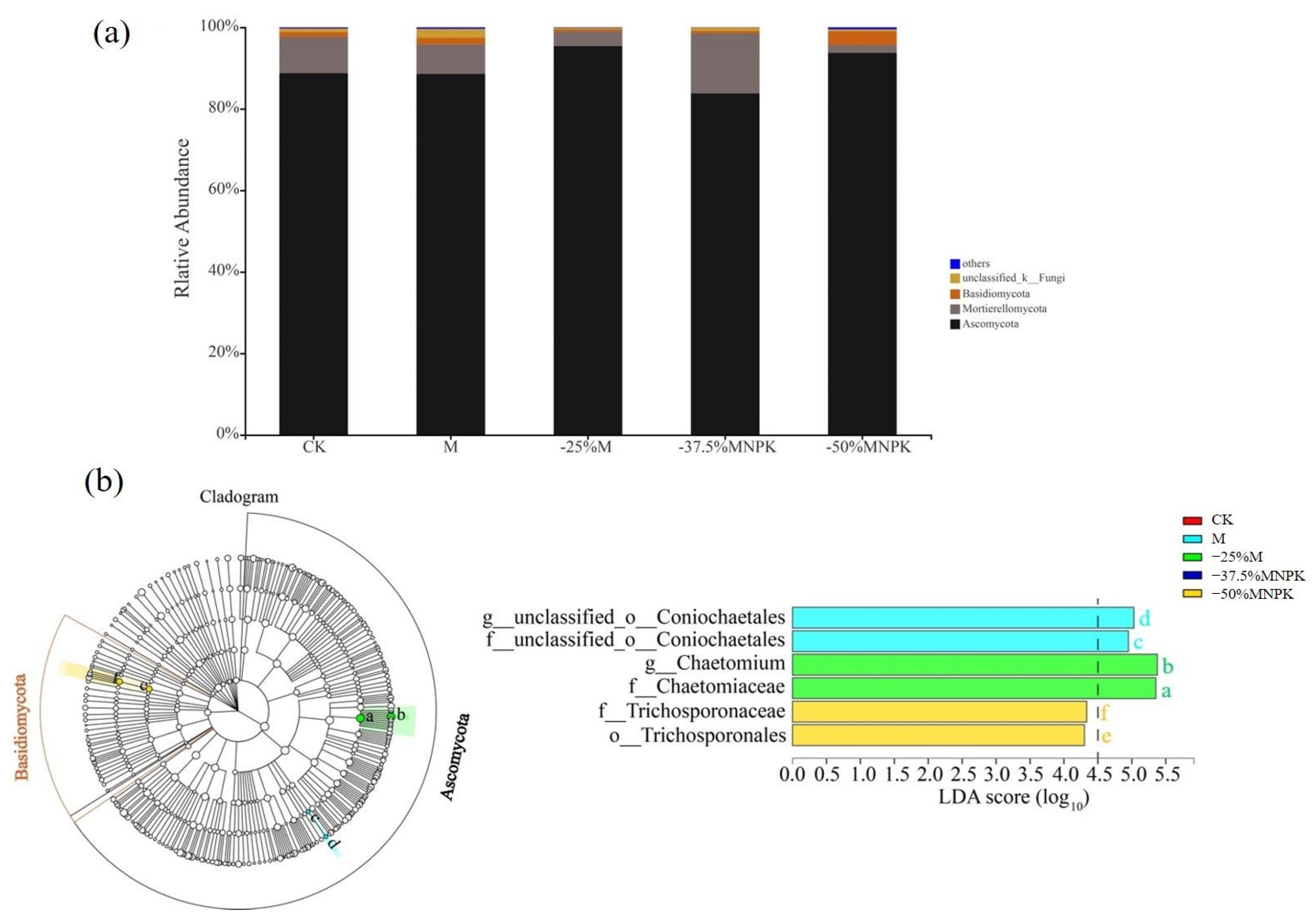 Microorganisms 13 00203 g004