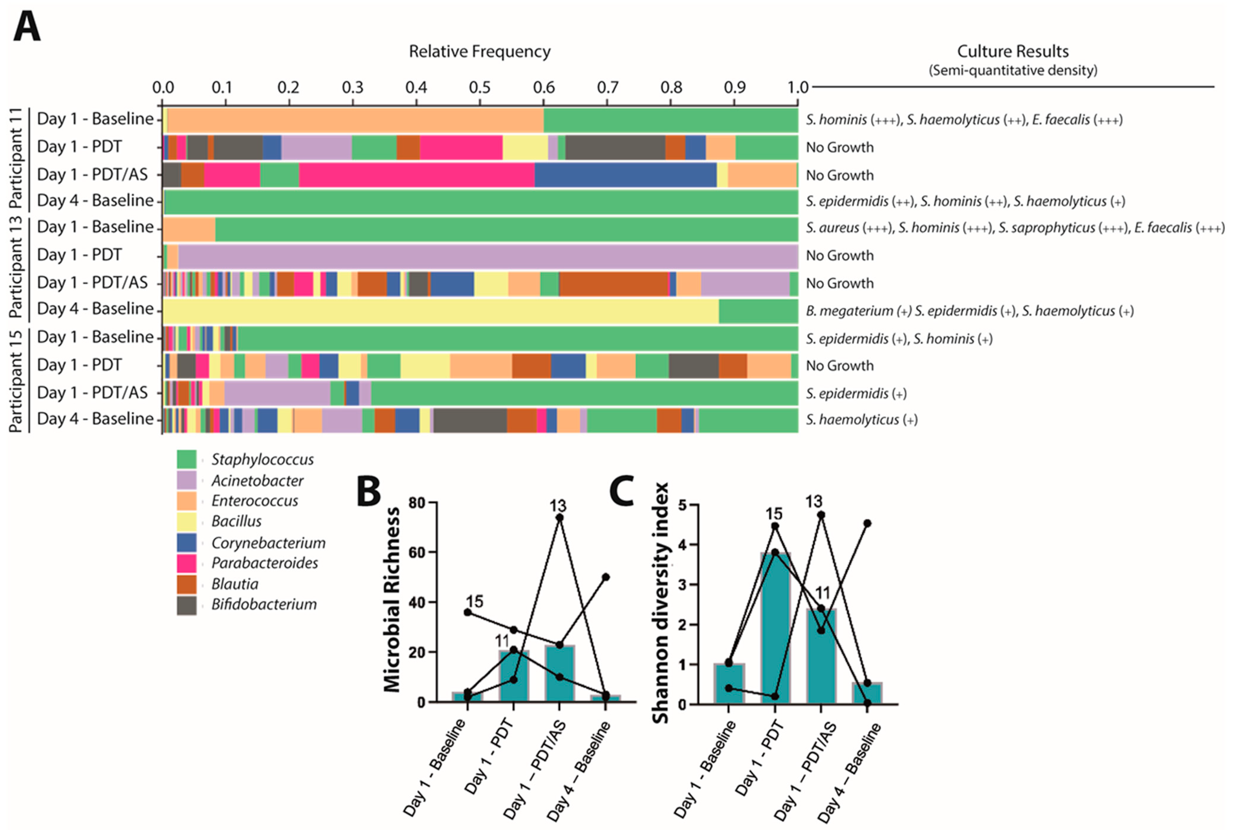 Microorganisms 13 00204 g004