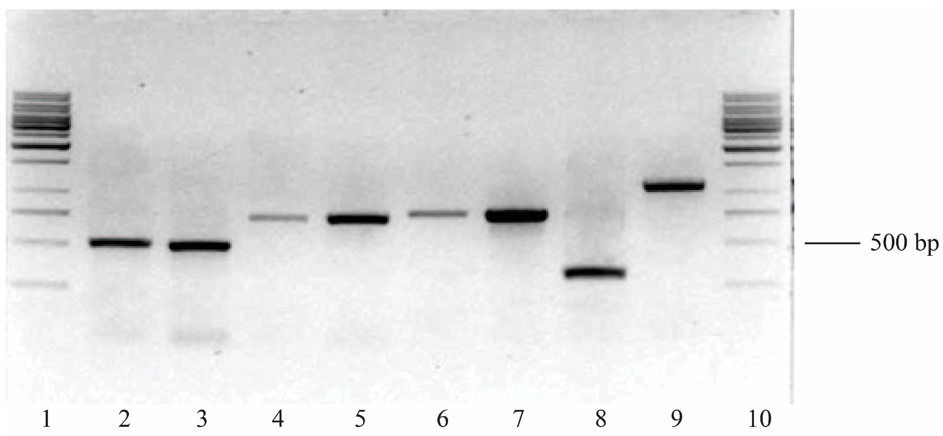 Microorganisms 13 00205 g004 Microorganisms 13 00205 g004