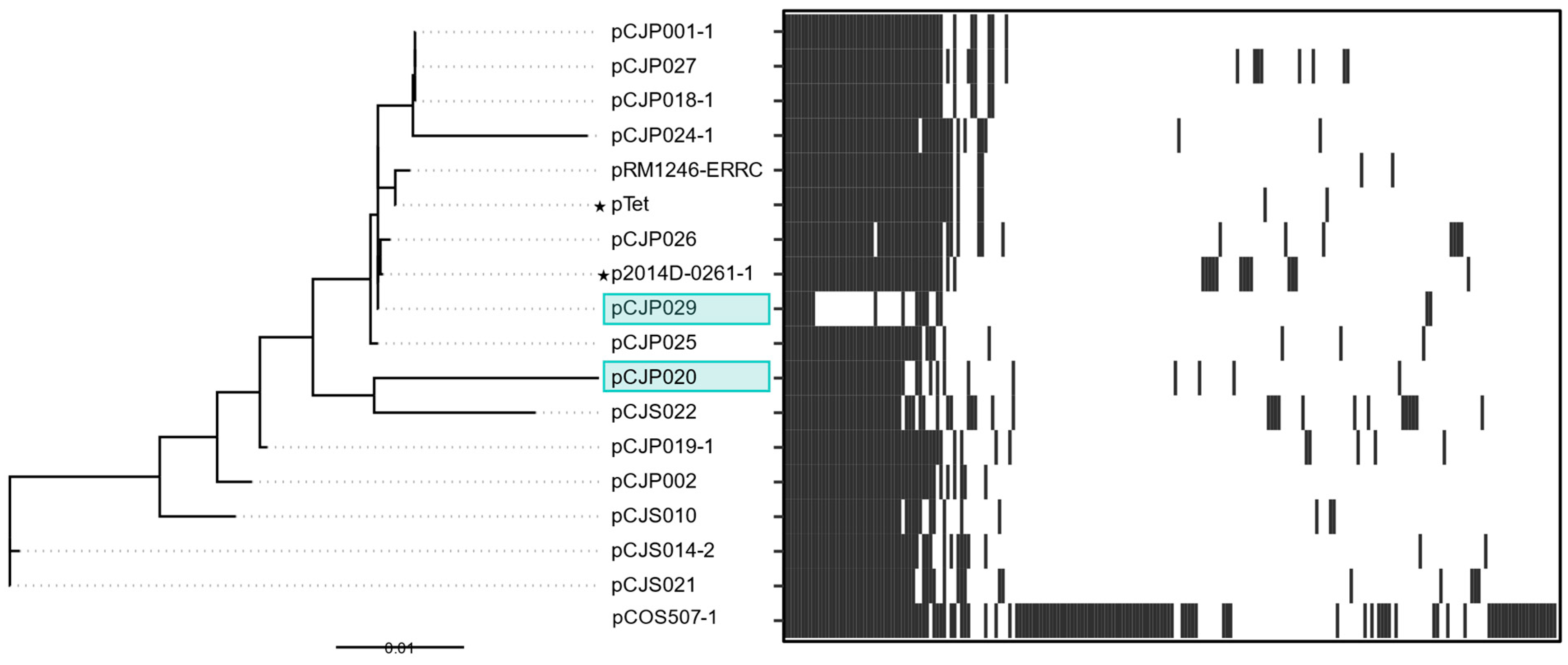 Microorganisms 13 00206 g003