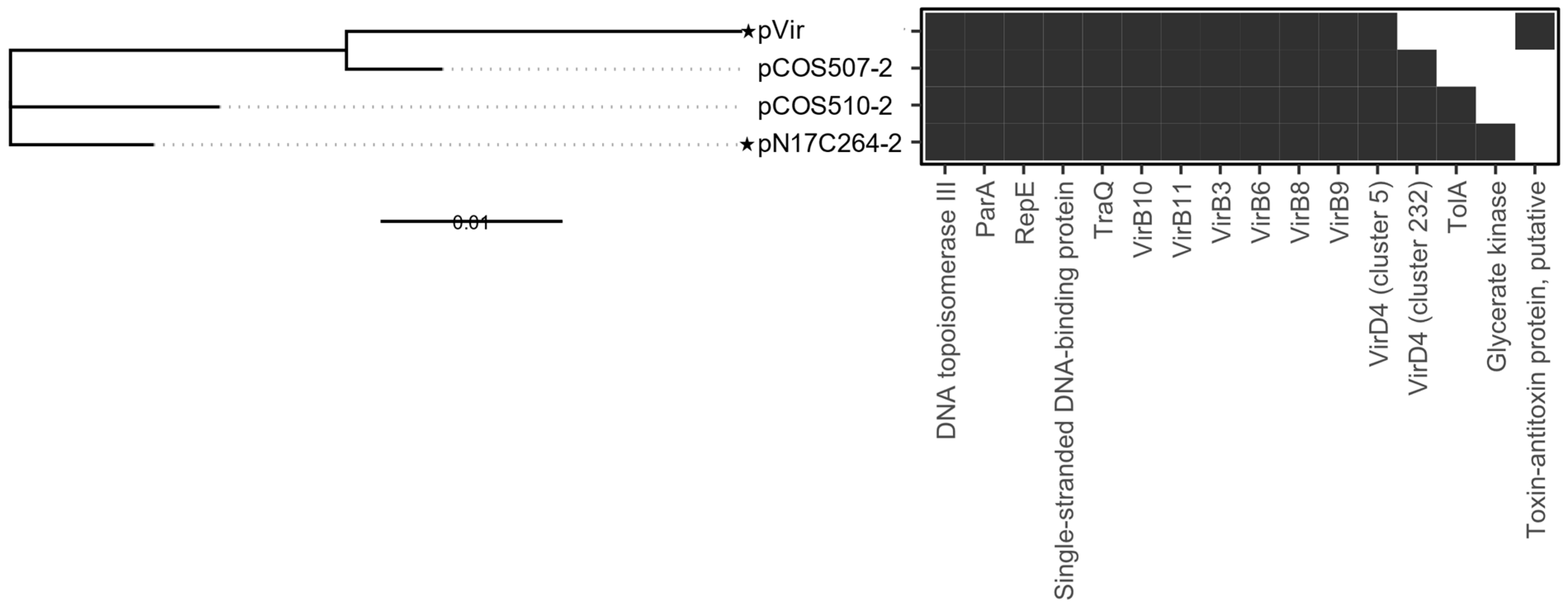 Microorganisms 13 00206 g004