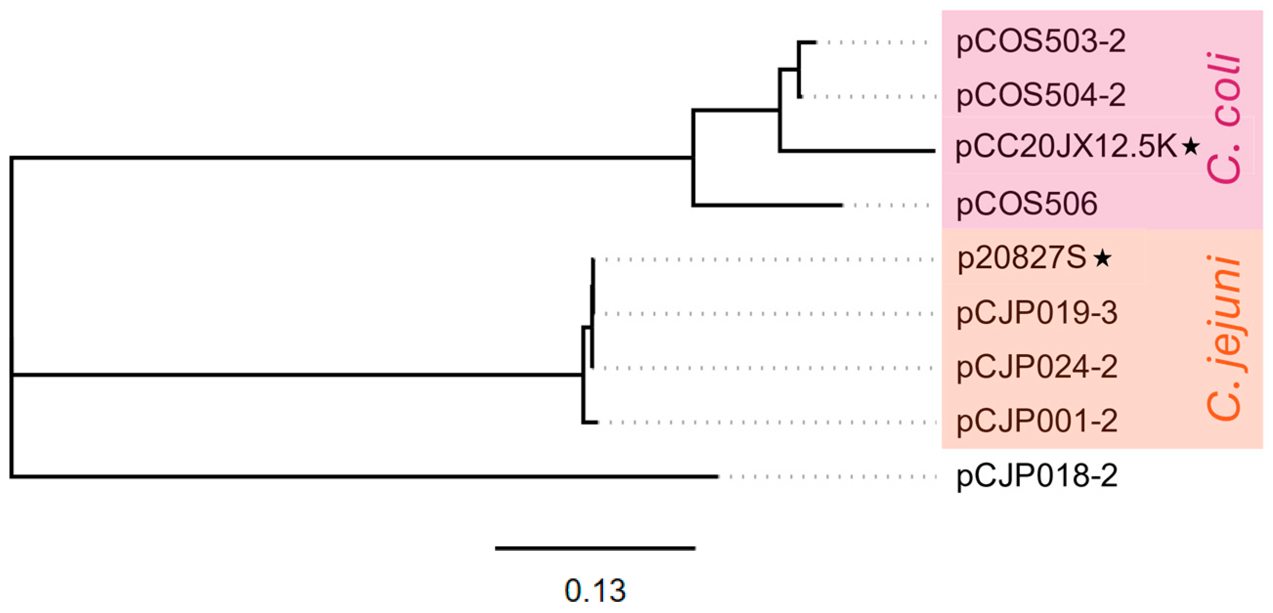 Microorganisms 13 00206 g005