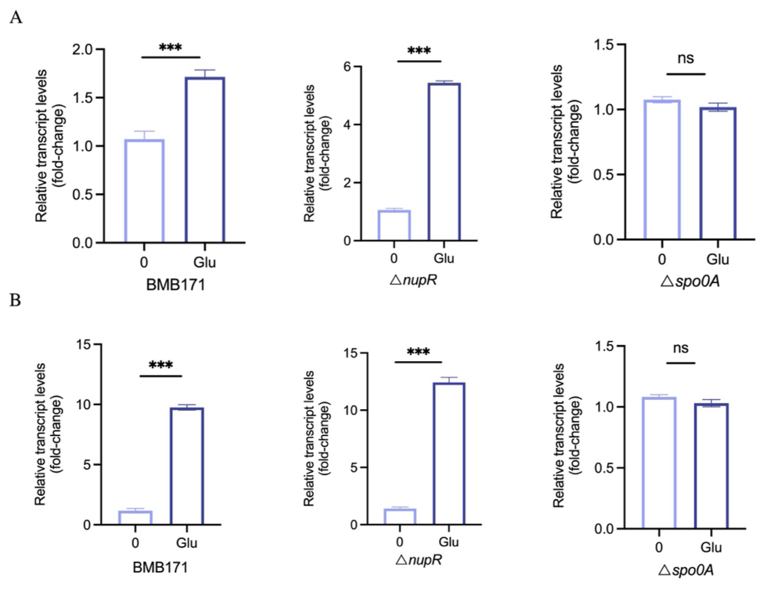 Microorganisms 13 00212 g004