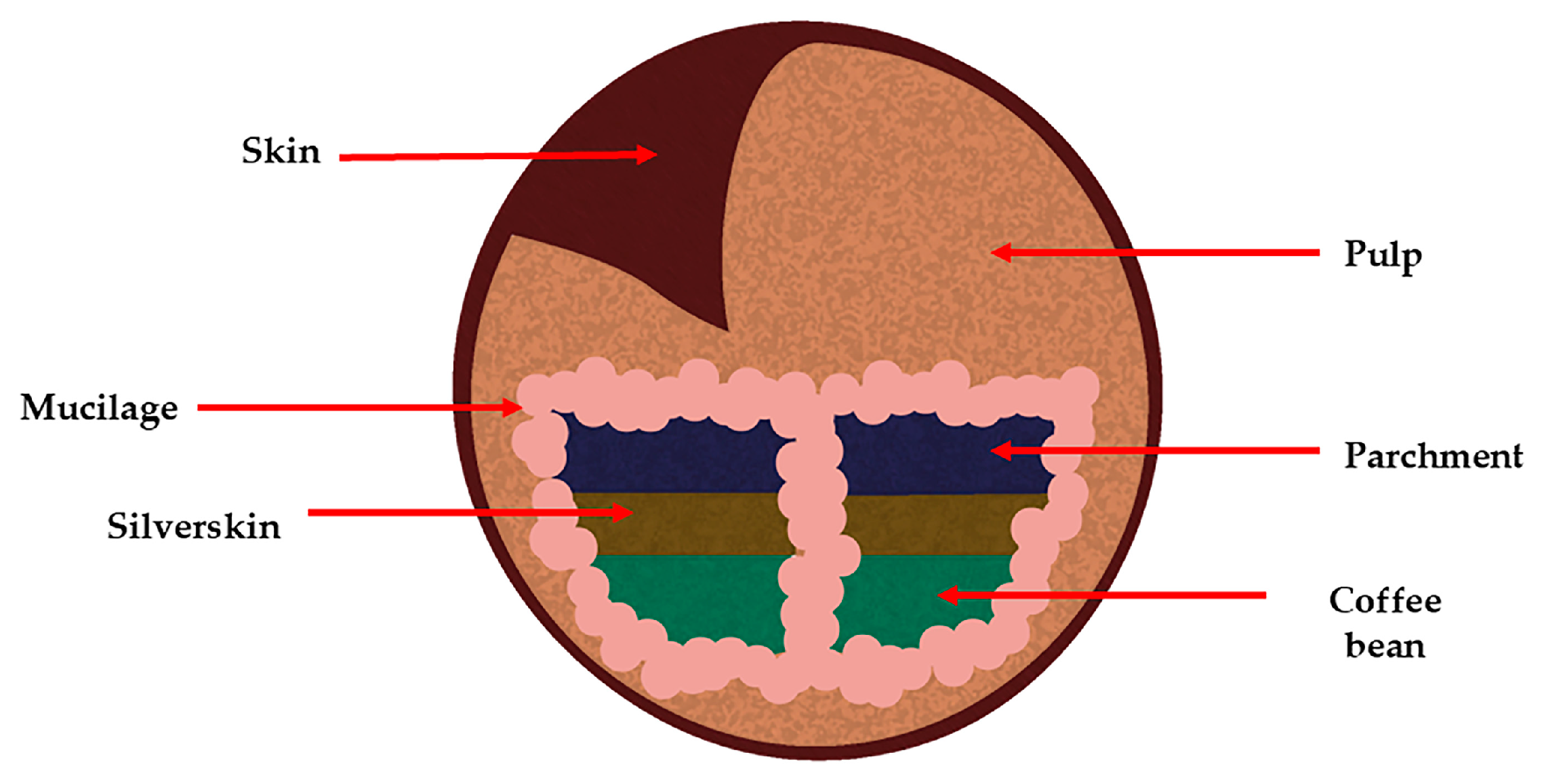 Microorganisms 13 00215 g001