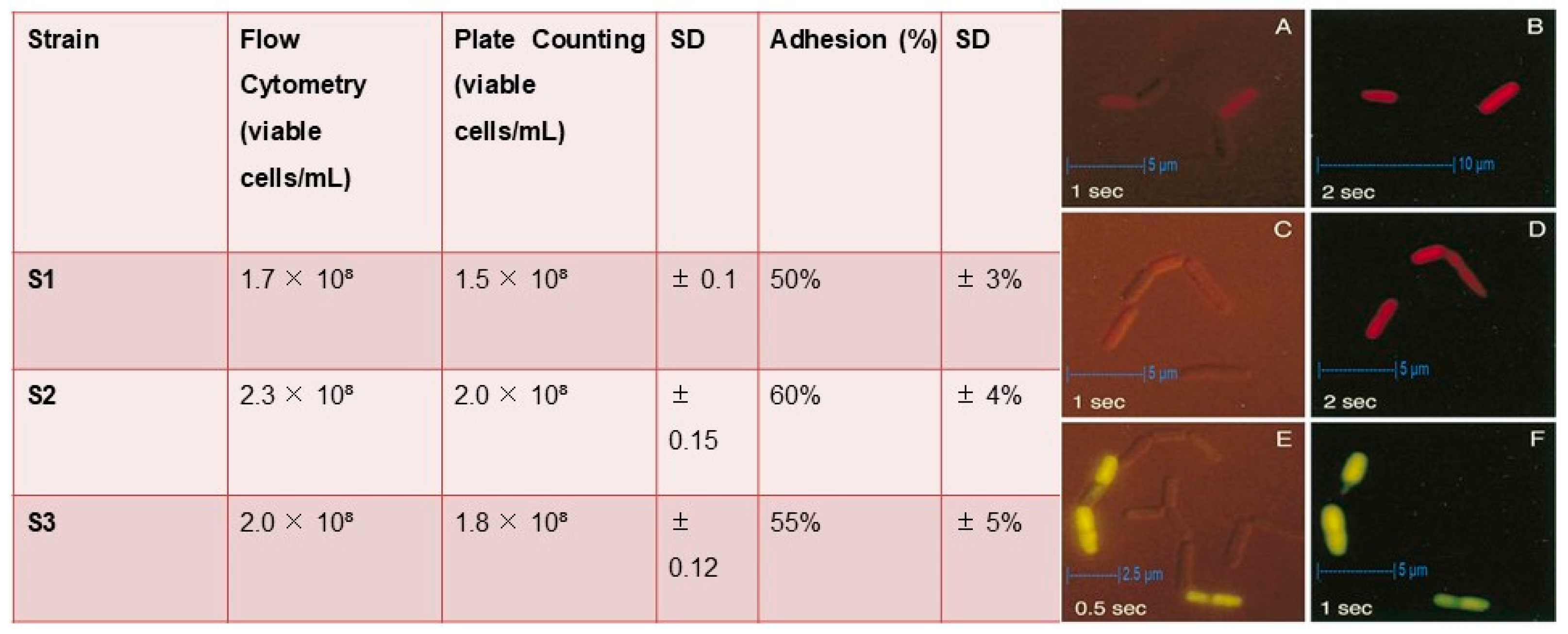 Microorganisms 13 00216 g005