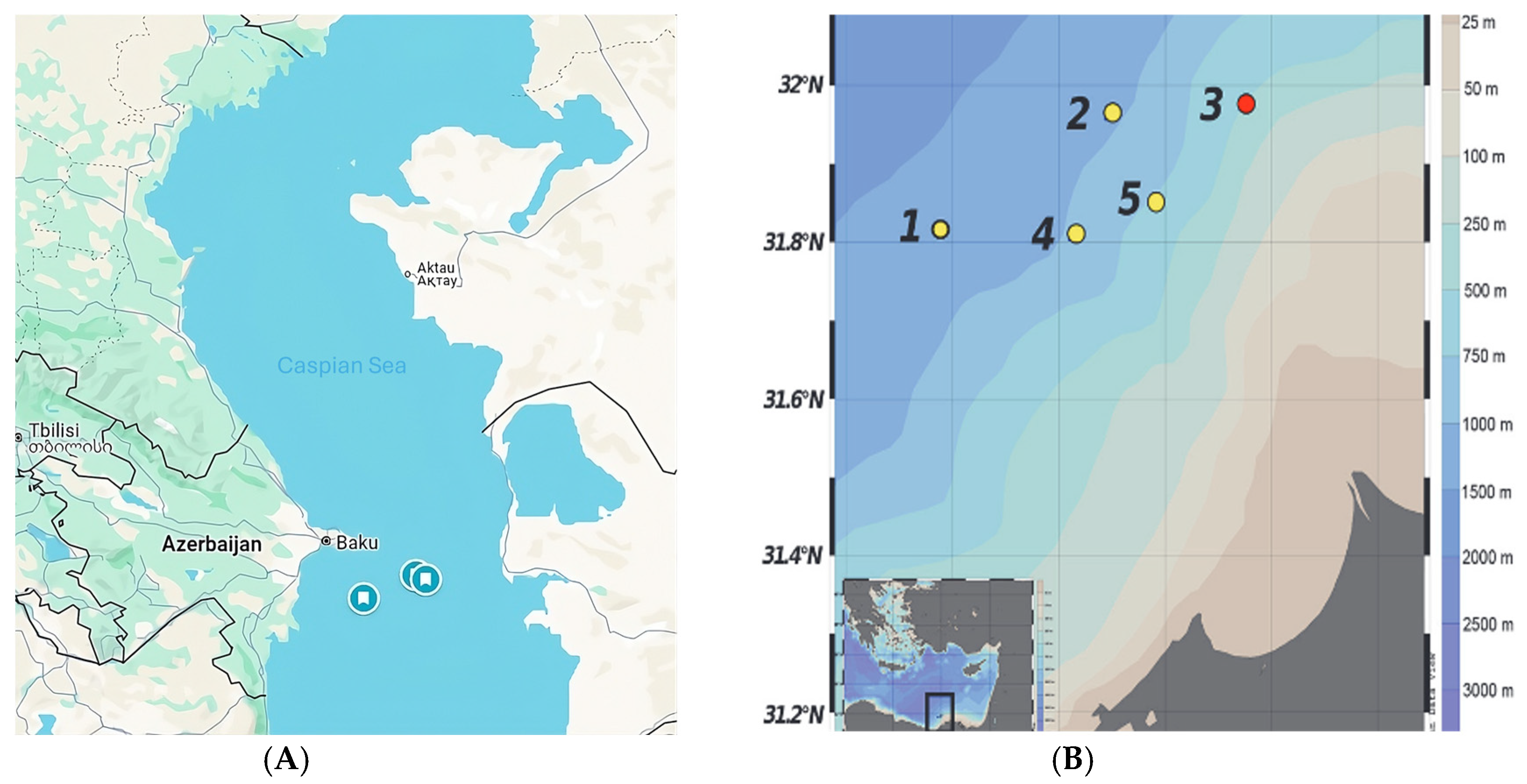 Microorganisms 13 00222 g001