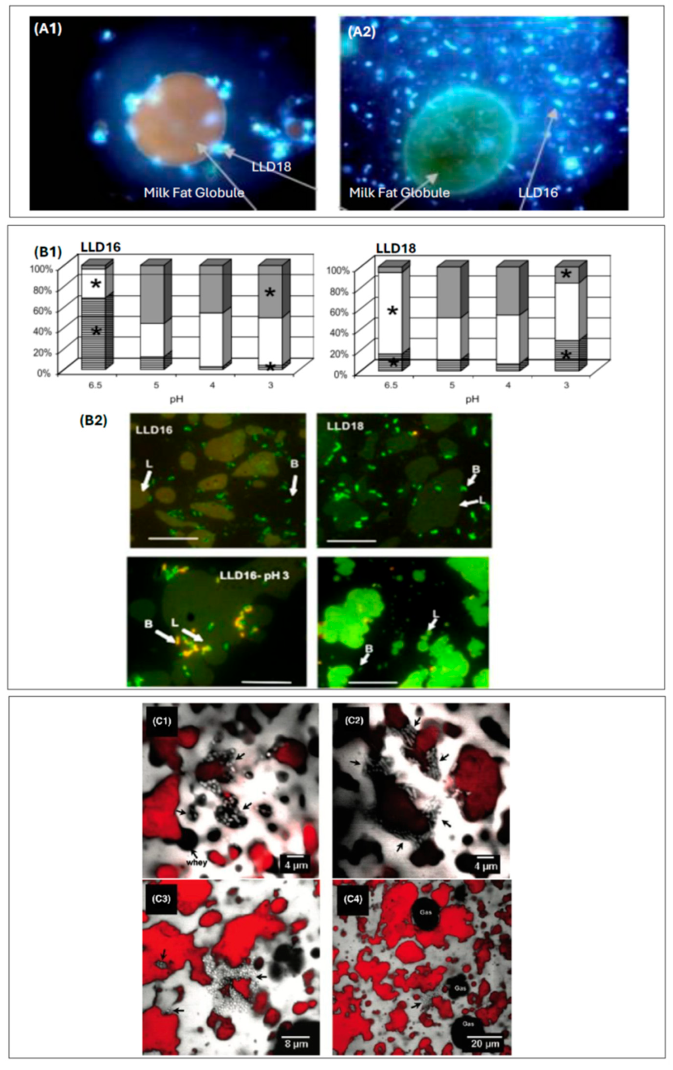 Microorganisms 13 00223 g001