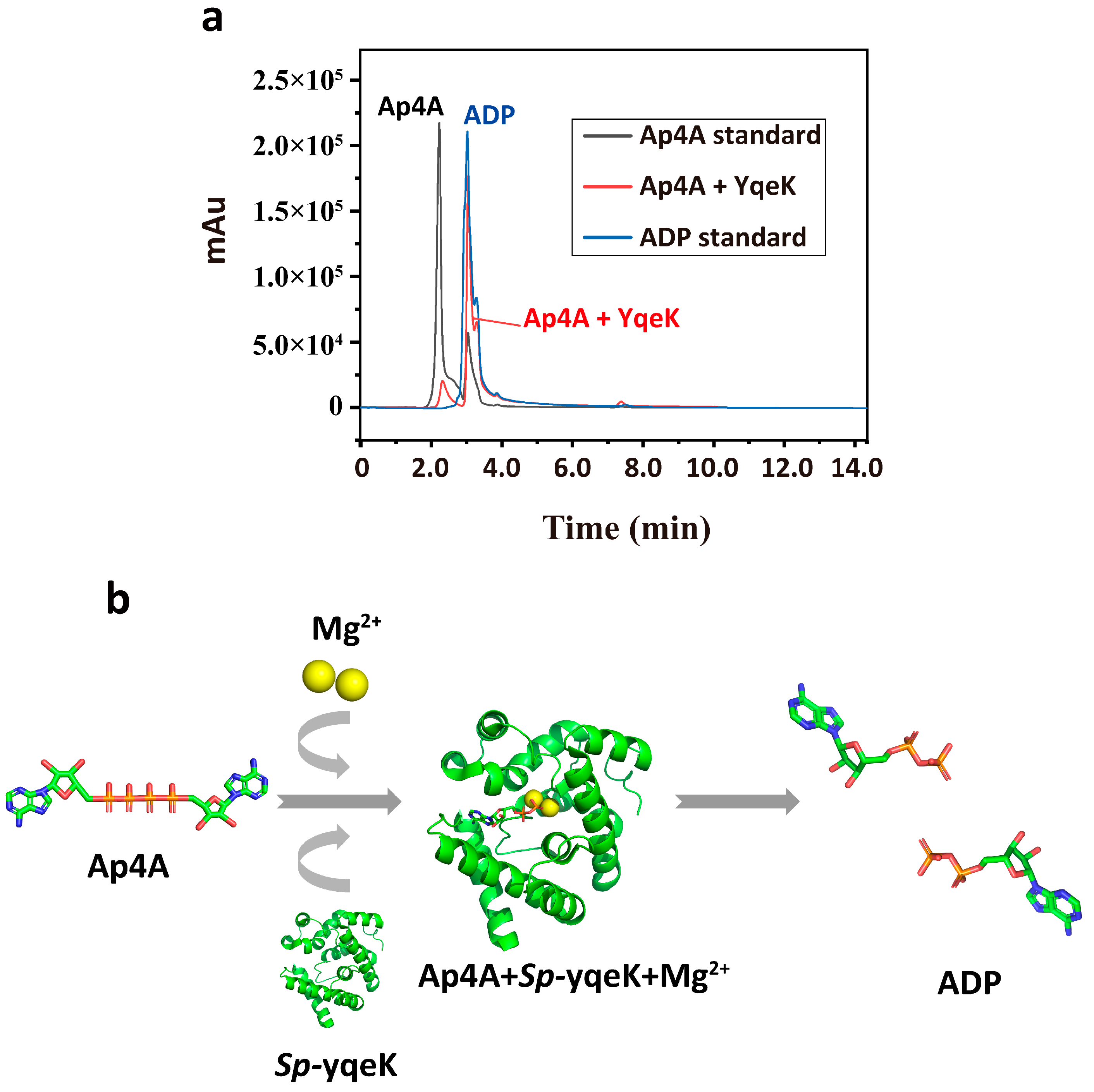 Microorganisms 13 00230 g001
