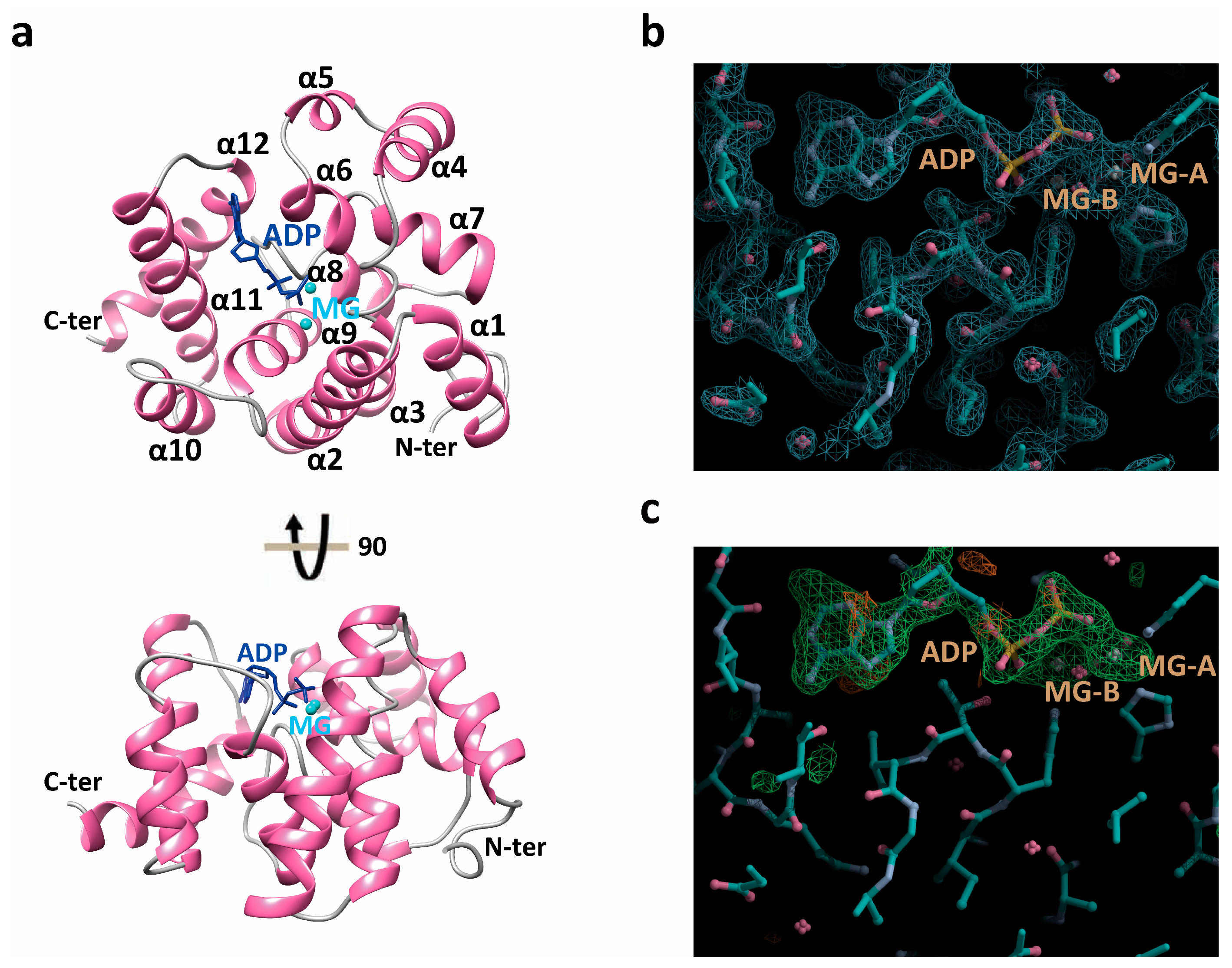 Microorganisms 13 00230 g004