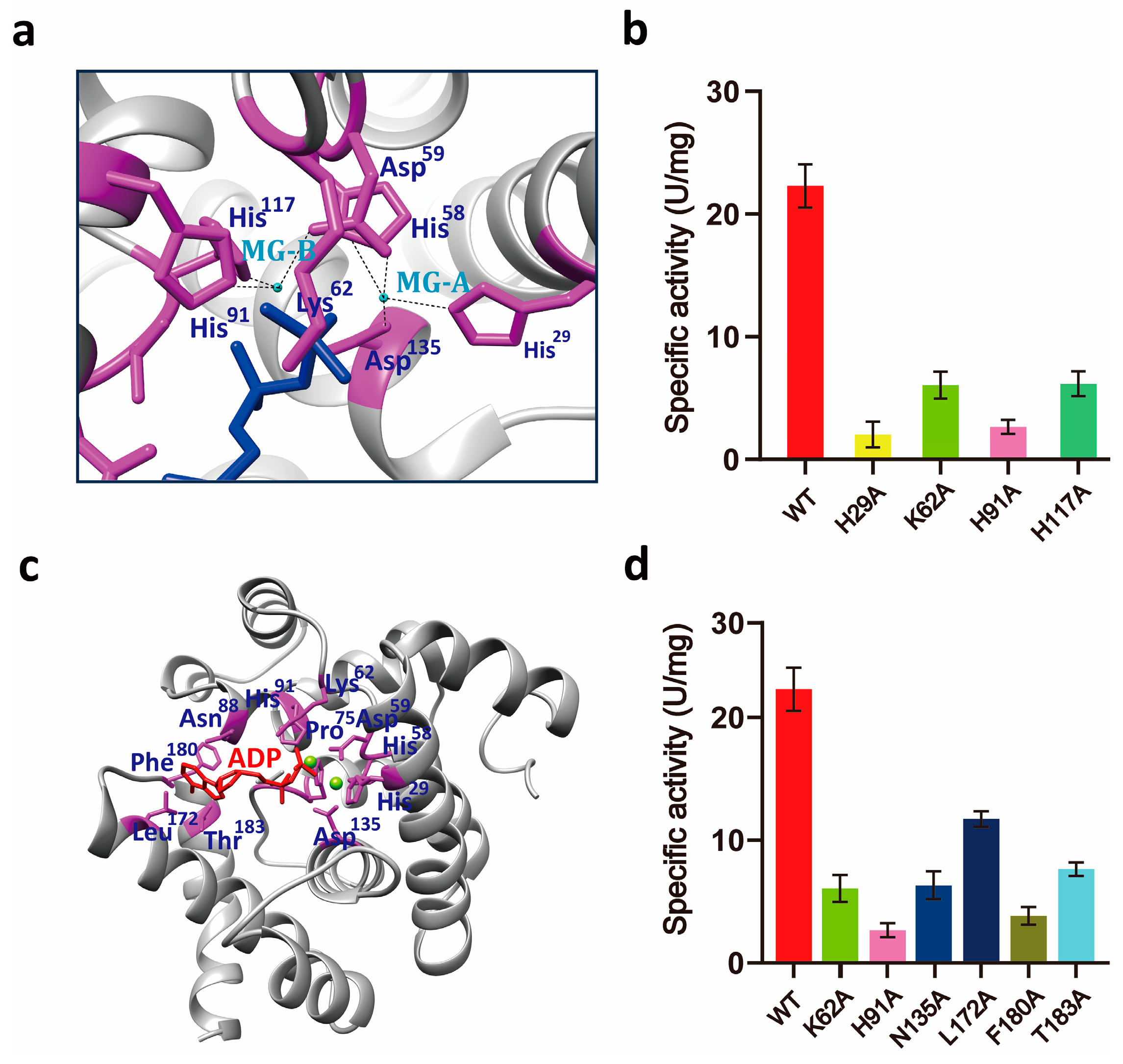 Microorganisms 13 00230 g005