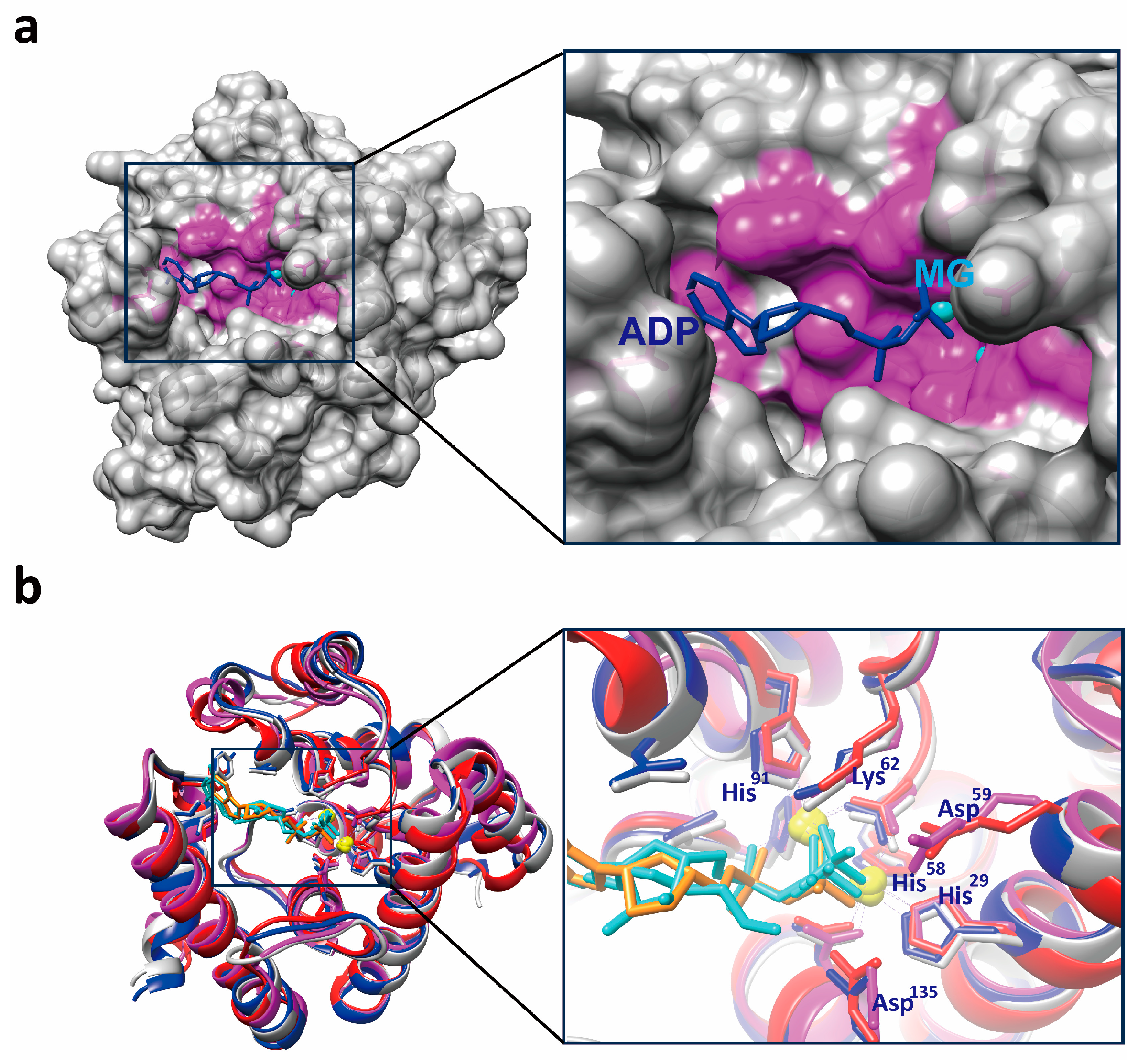 Microorganisms 13 00230 g006