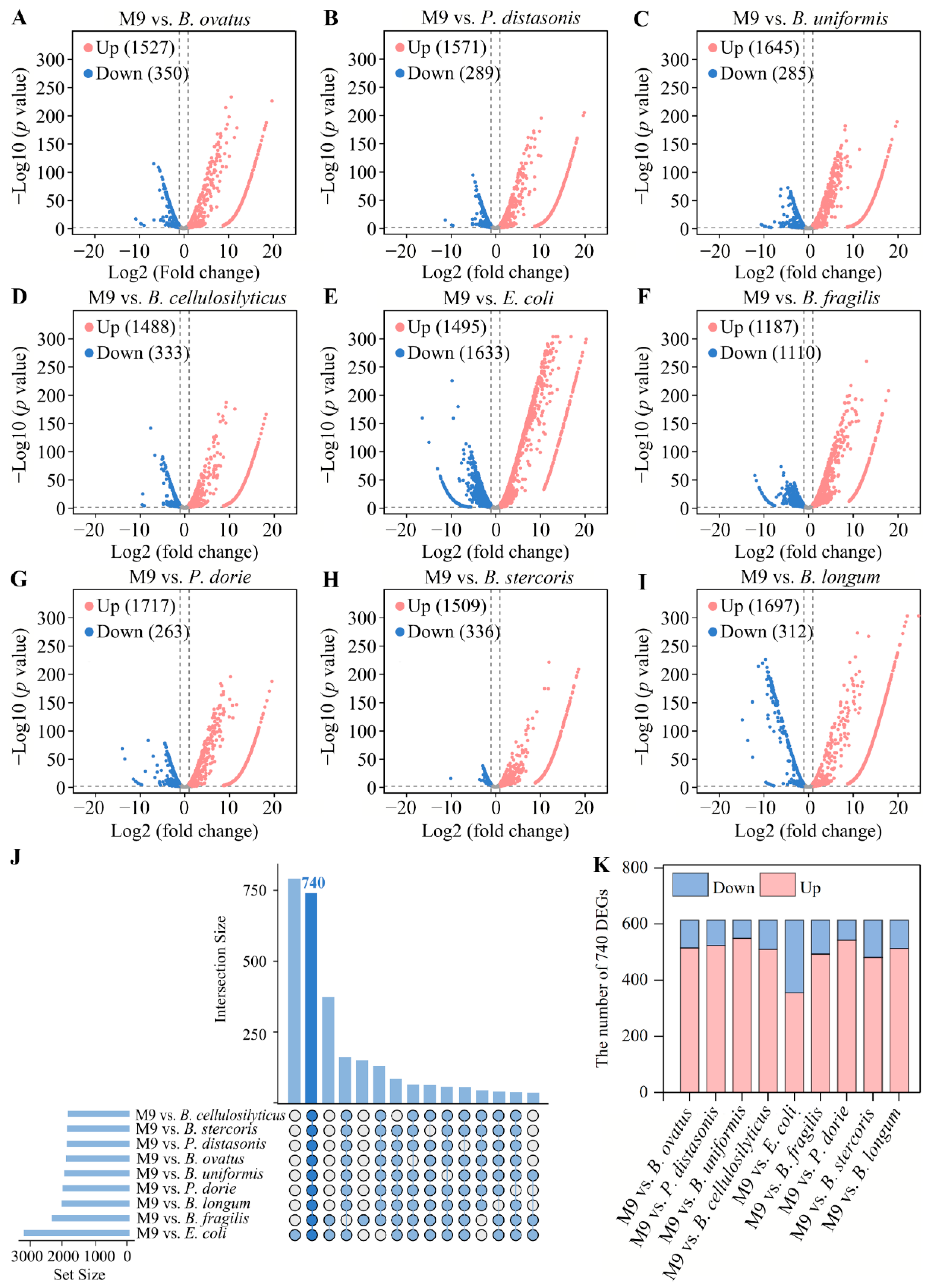 Microorganisms 13 00234 g002