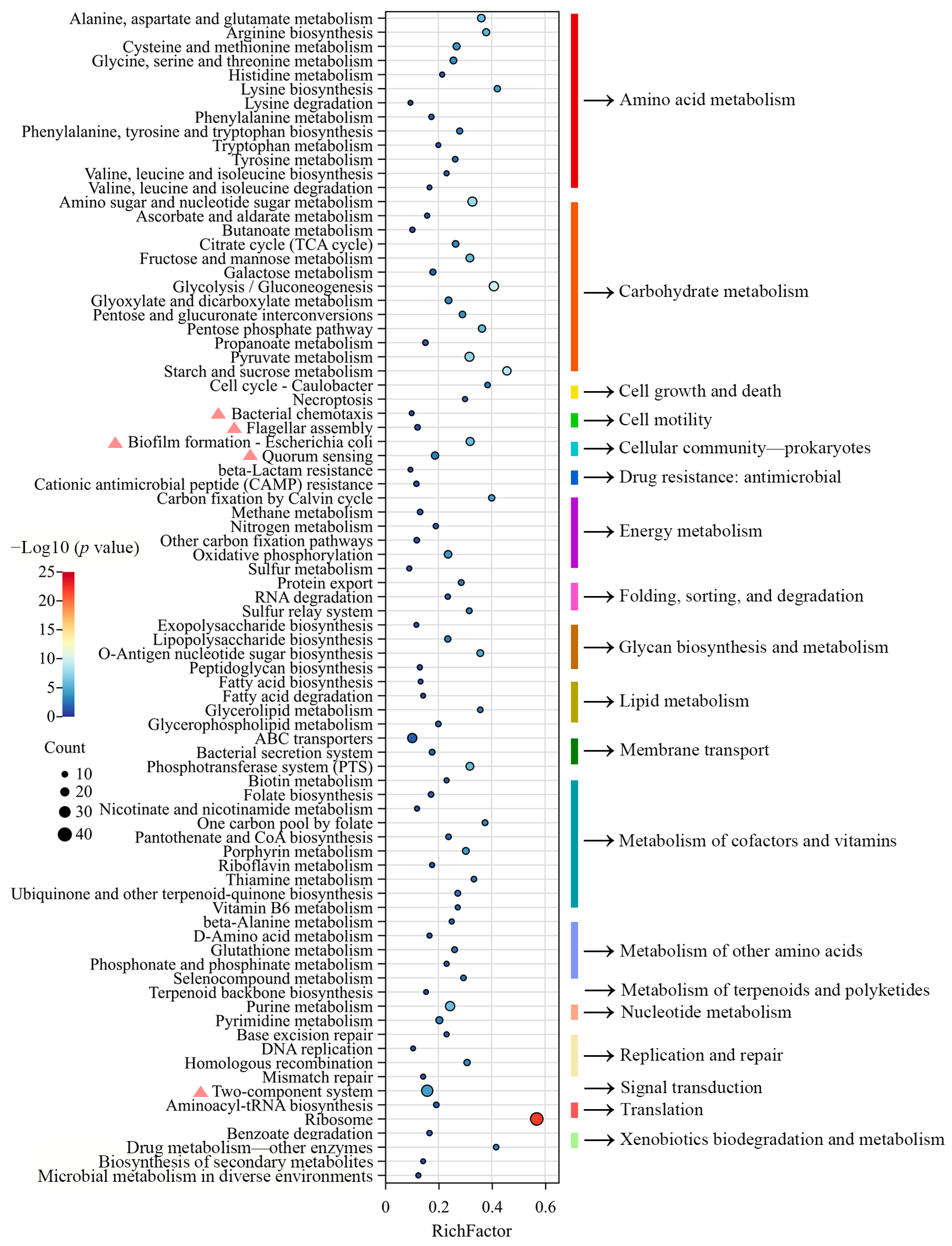 Microorganisms 13 00234 g003