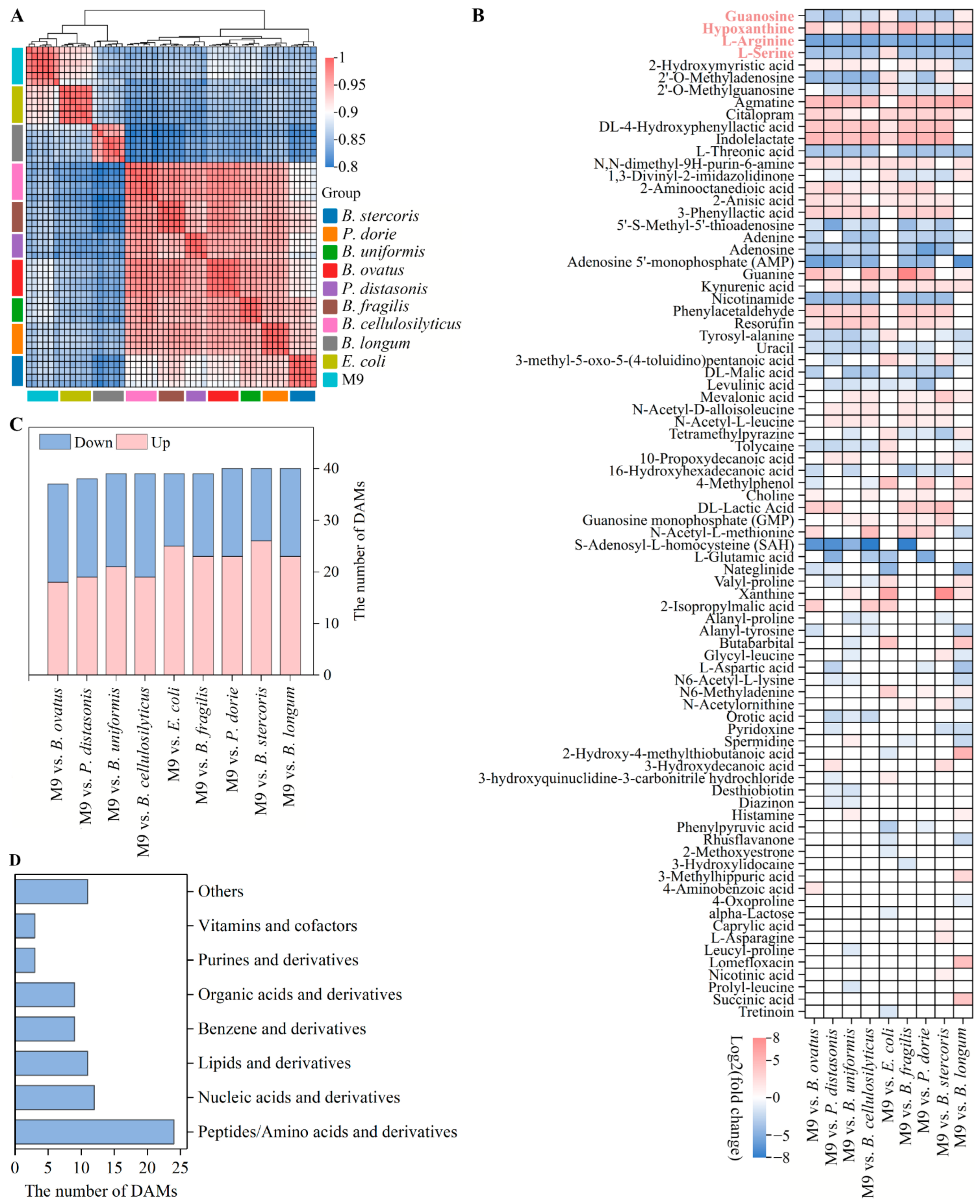 Microorganisms 13 00234 g006