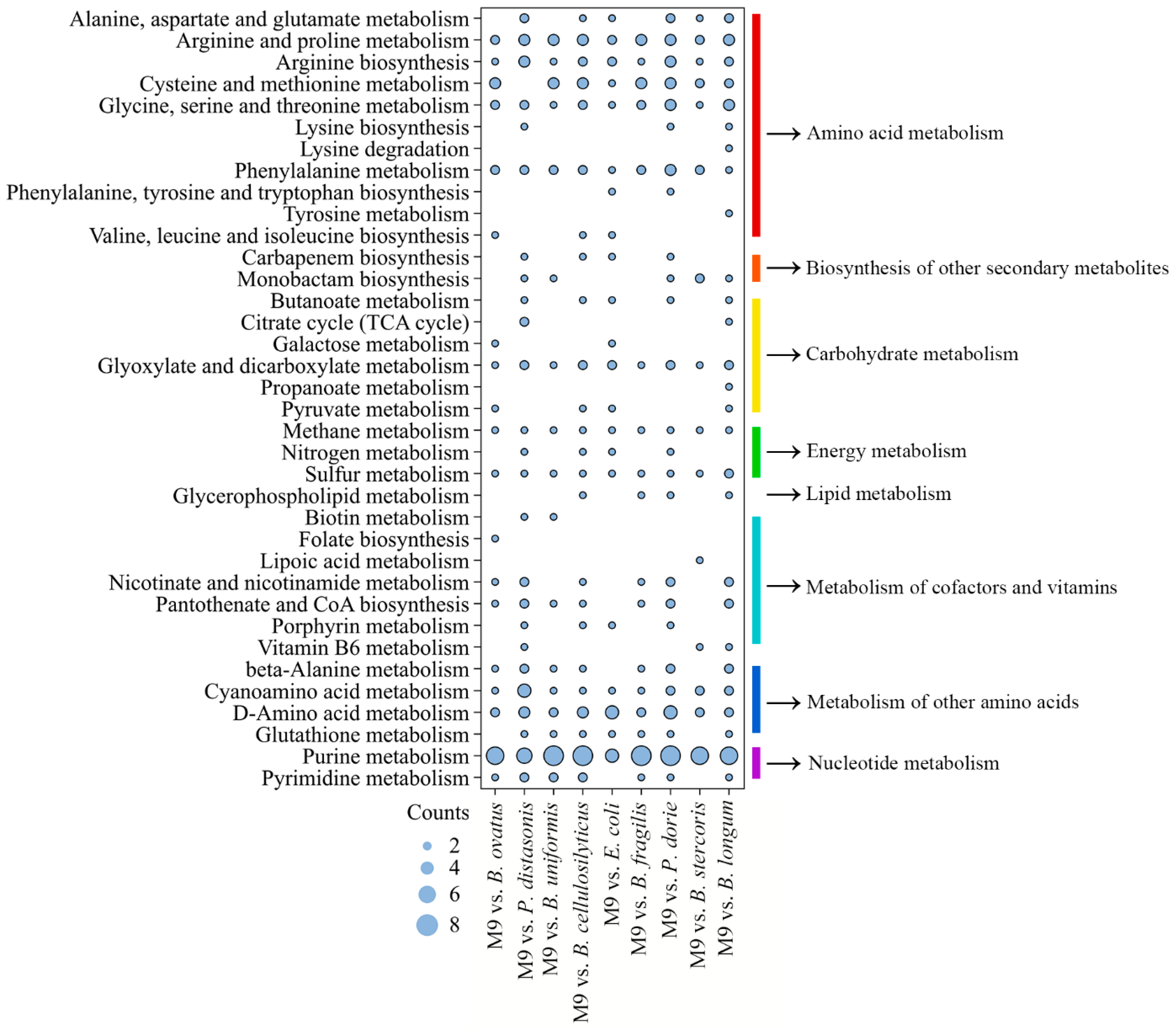 Microorganisms 13 00234 g007