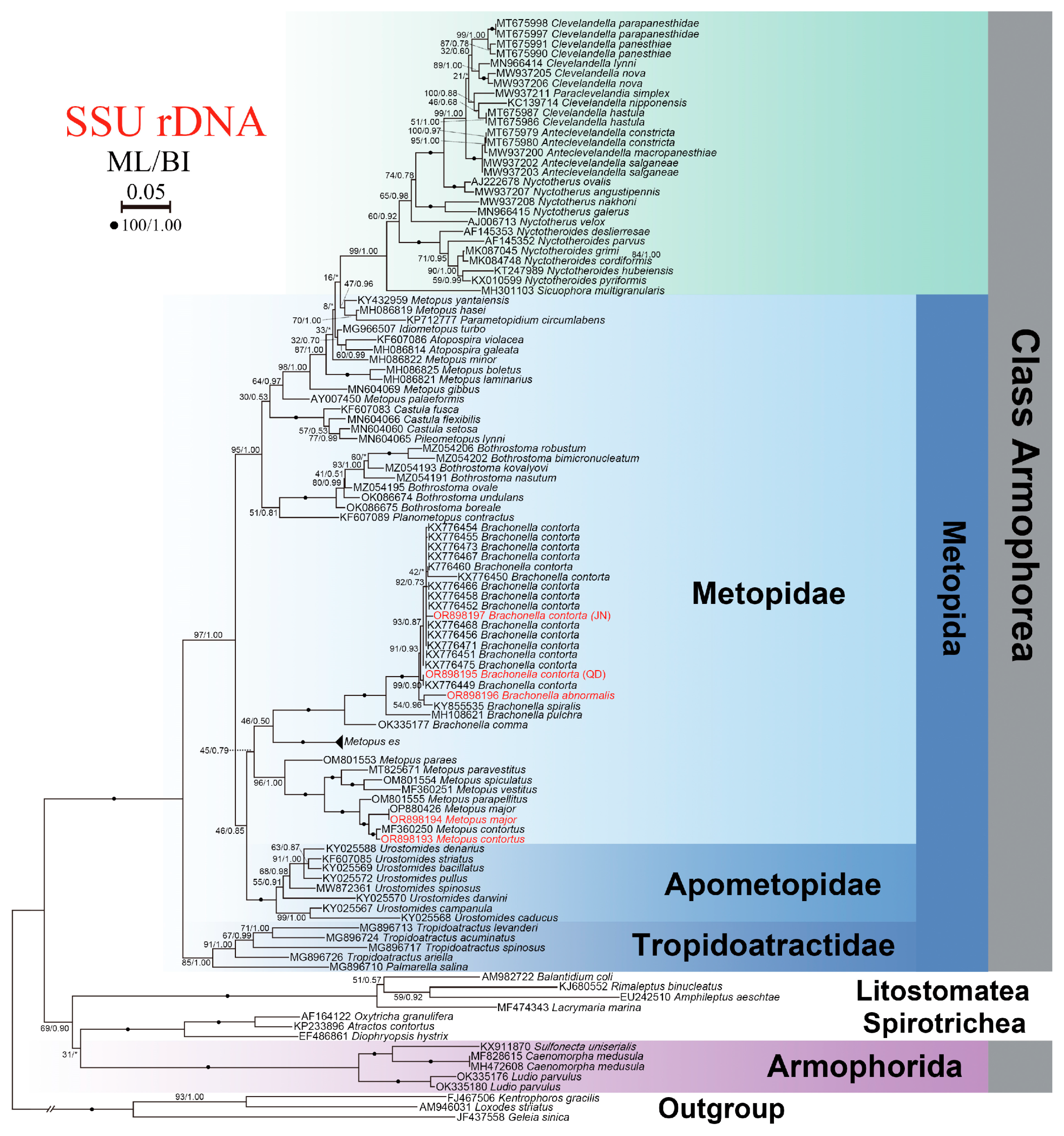 Microorganisms 13 00240 g009