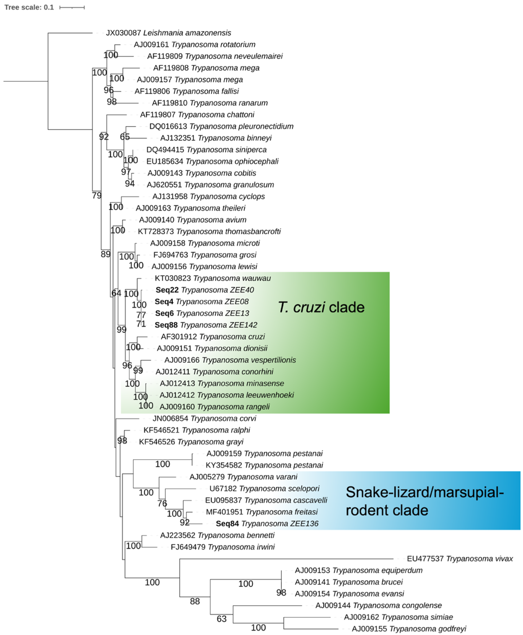 Microorganisms 13 00242 g002