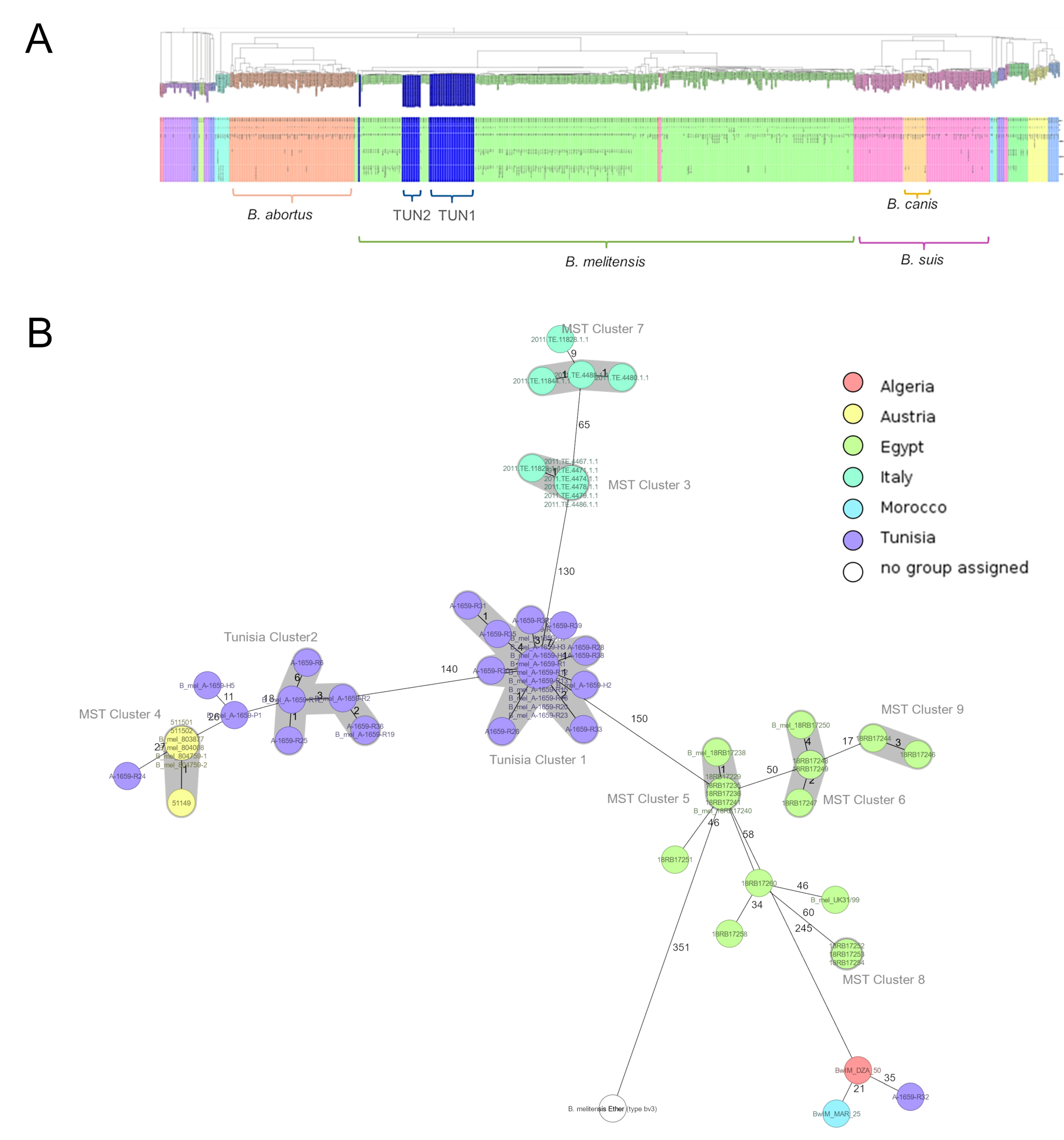 Microorganisms 13 00243 g002 Microorganisms 13 00243 g002