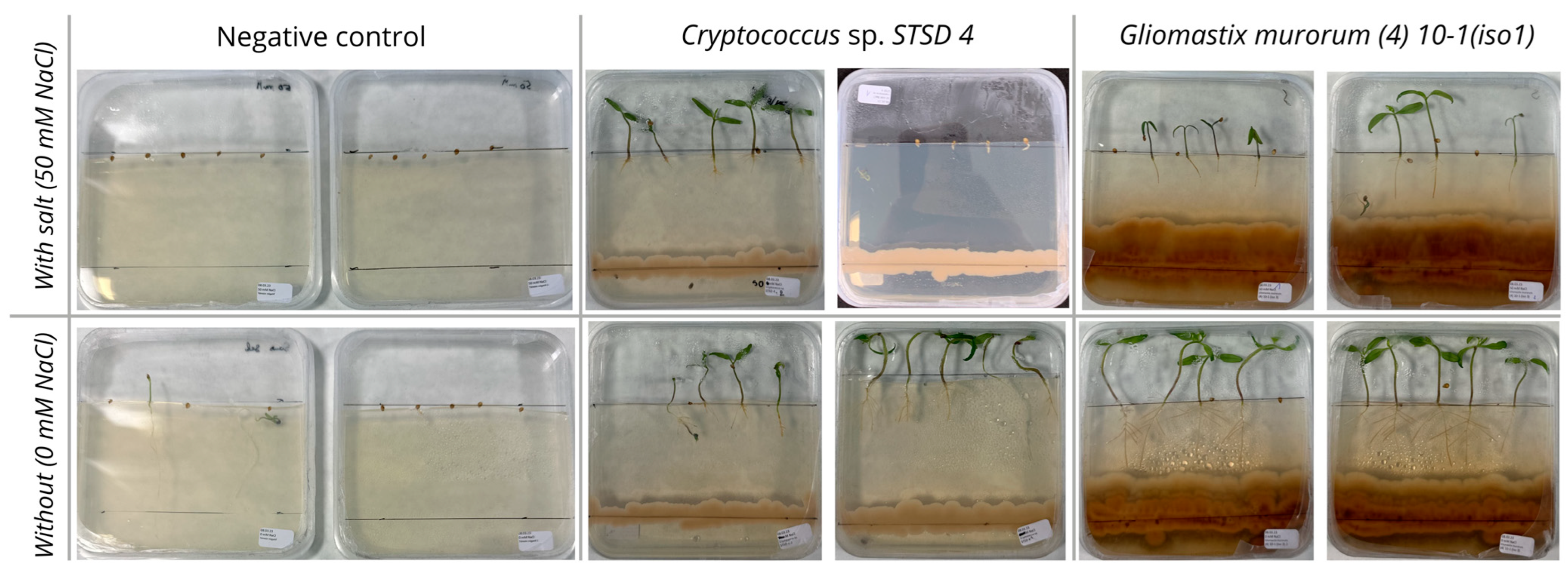 Microorganisms 13 00246 g002