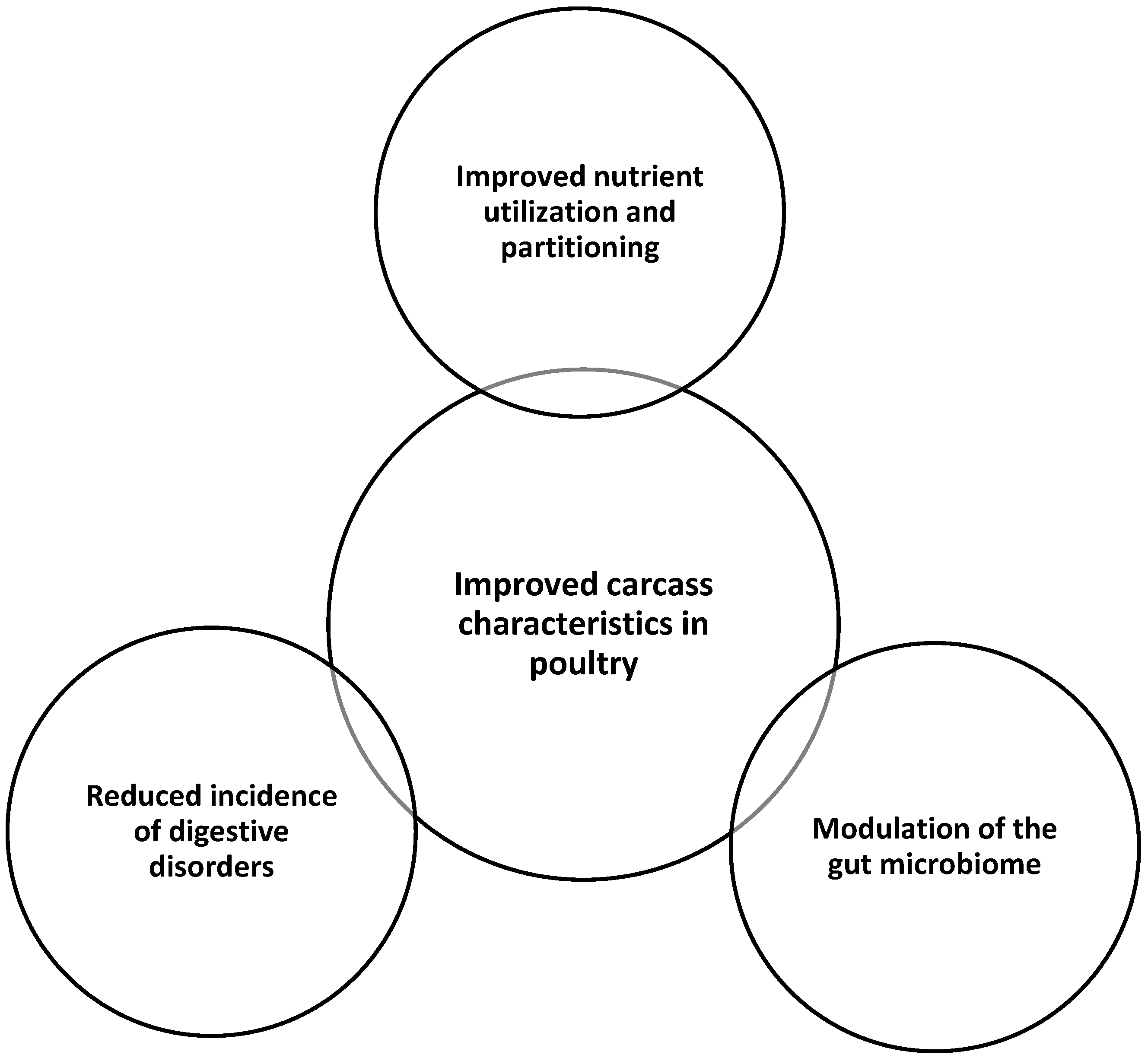 Microorganisms 13 00257 g003