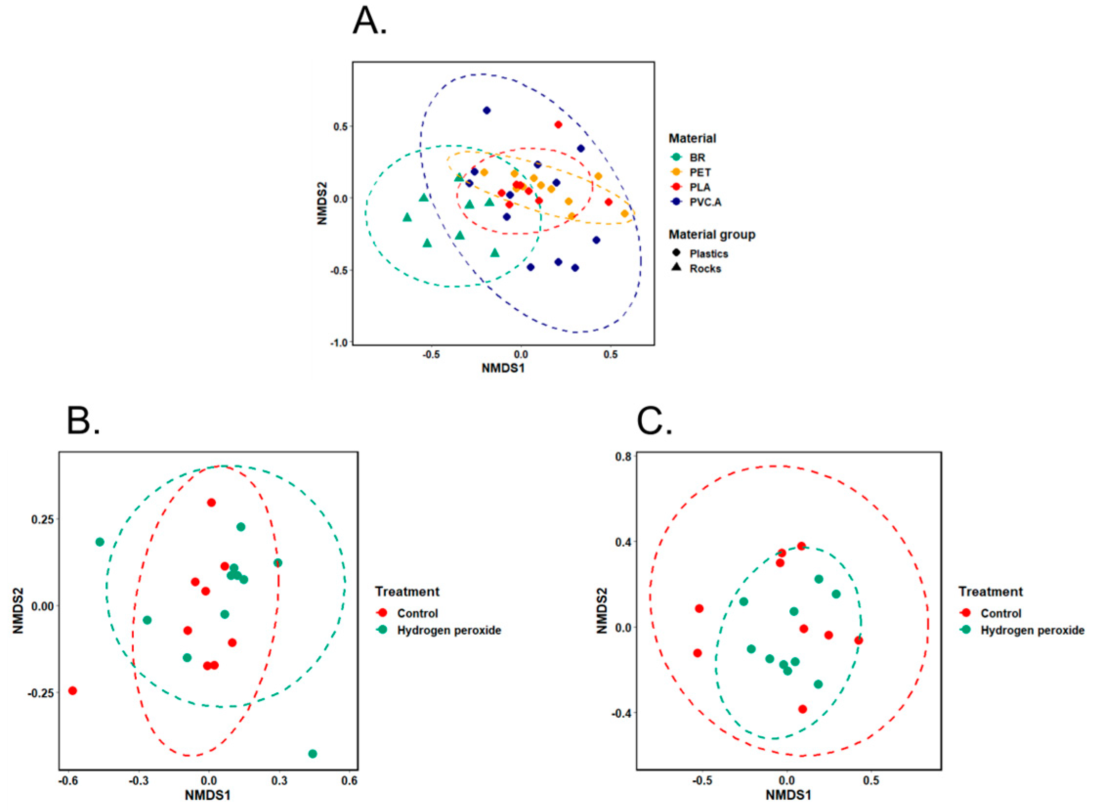 Microorganisms 13 00260 g005