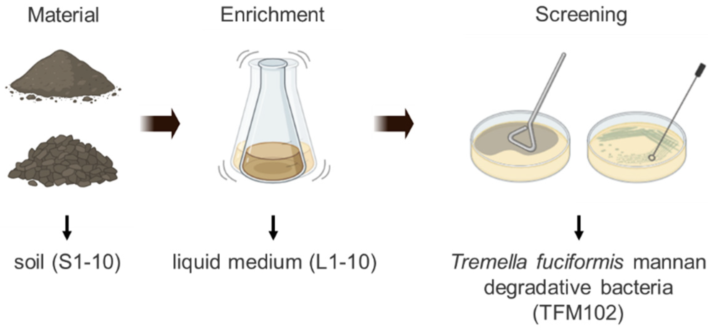 Microorganisms 13 00263 g001
