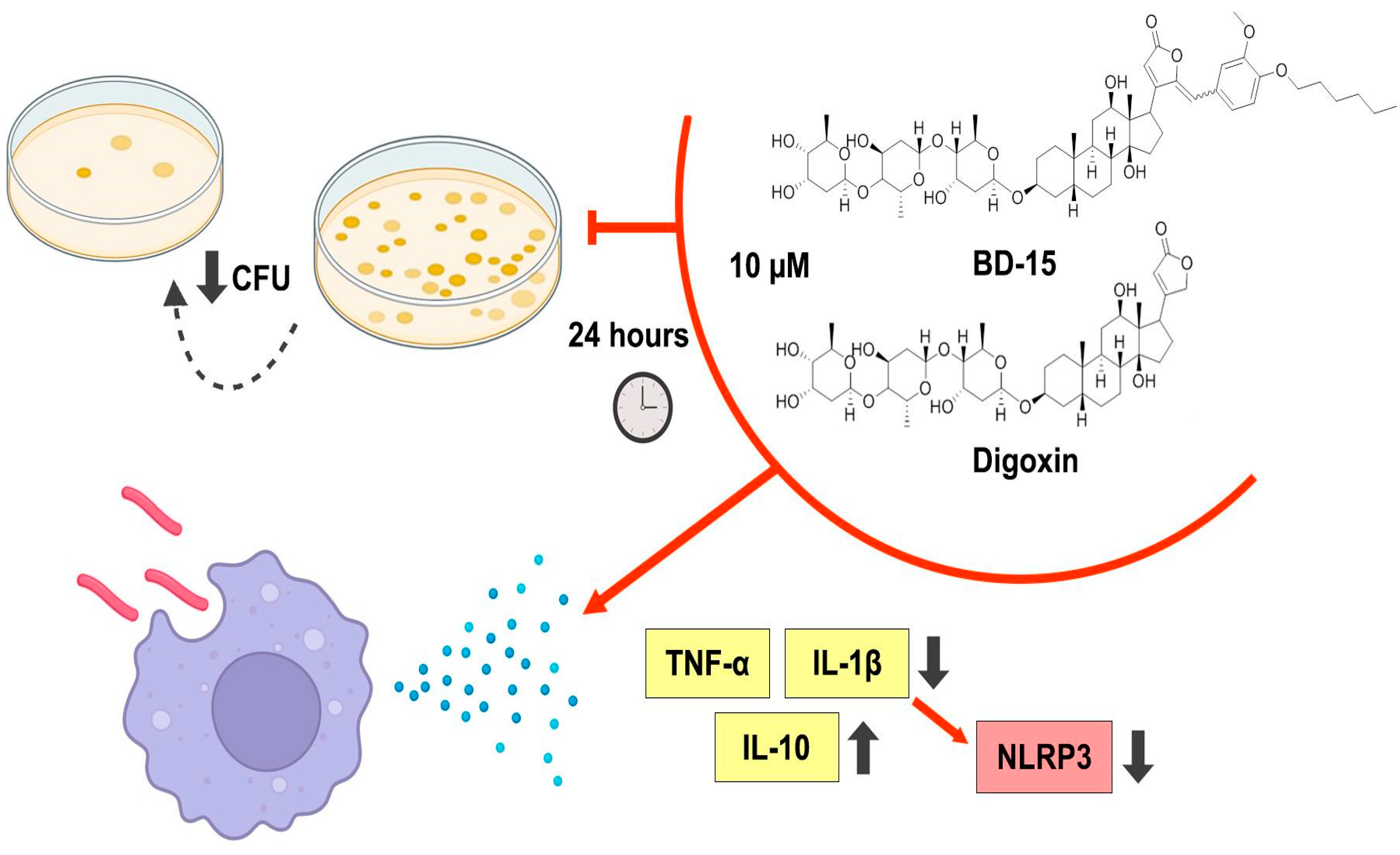 Microorganisms 13 00269 g008