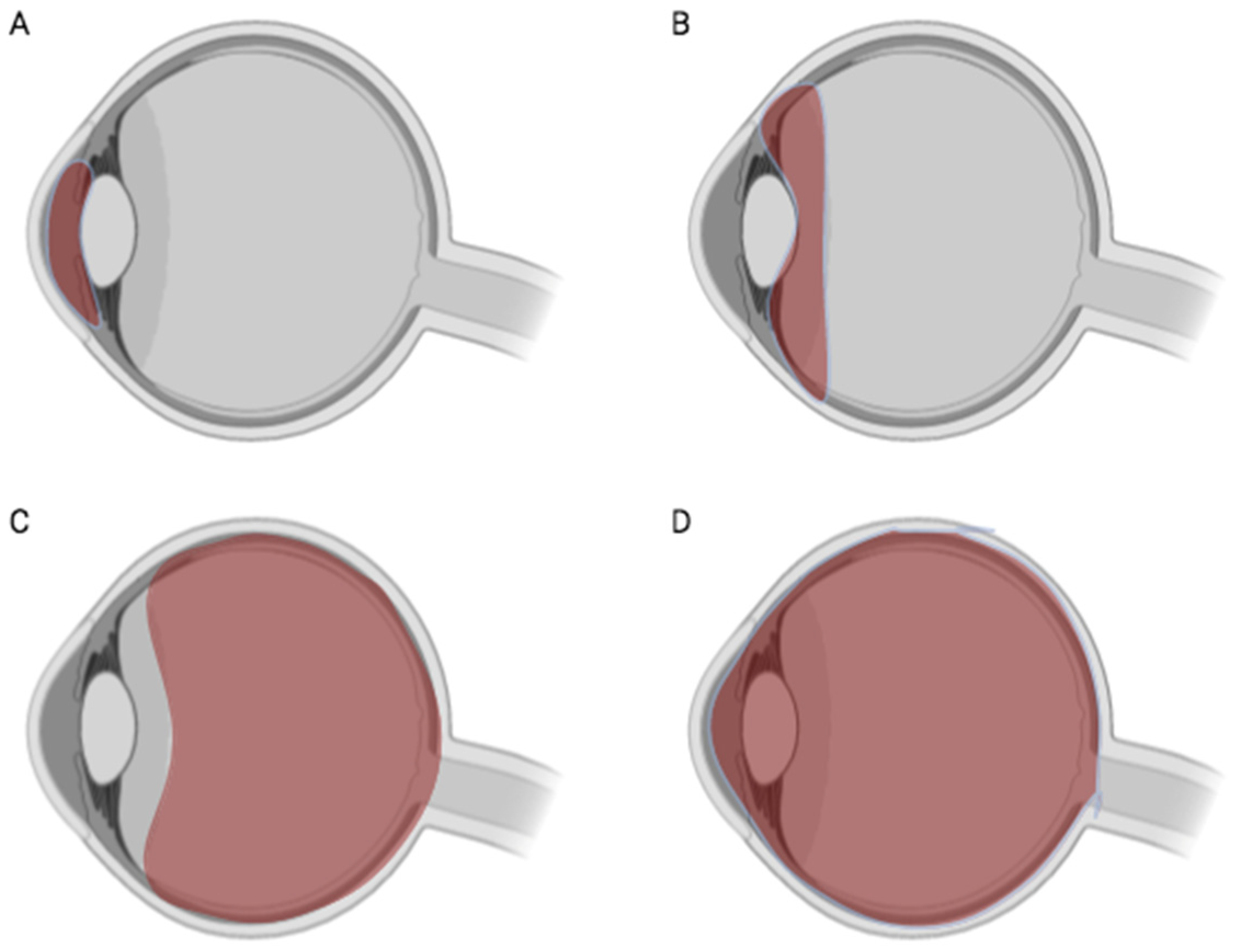 Microorganisms 13 00271 g002