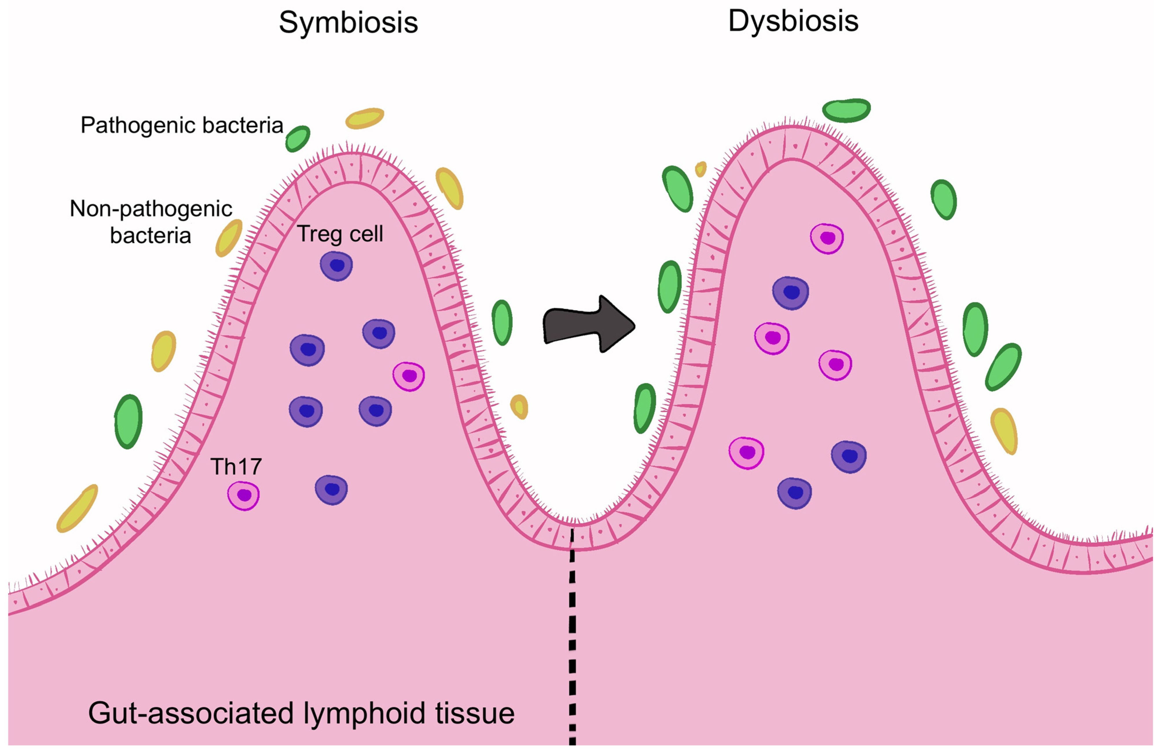 Microorganisms 13 00271 g004