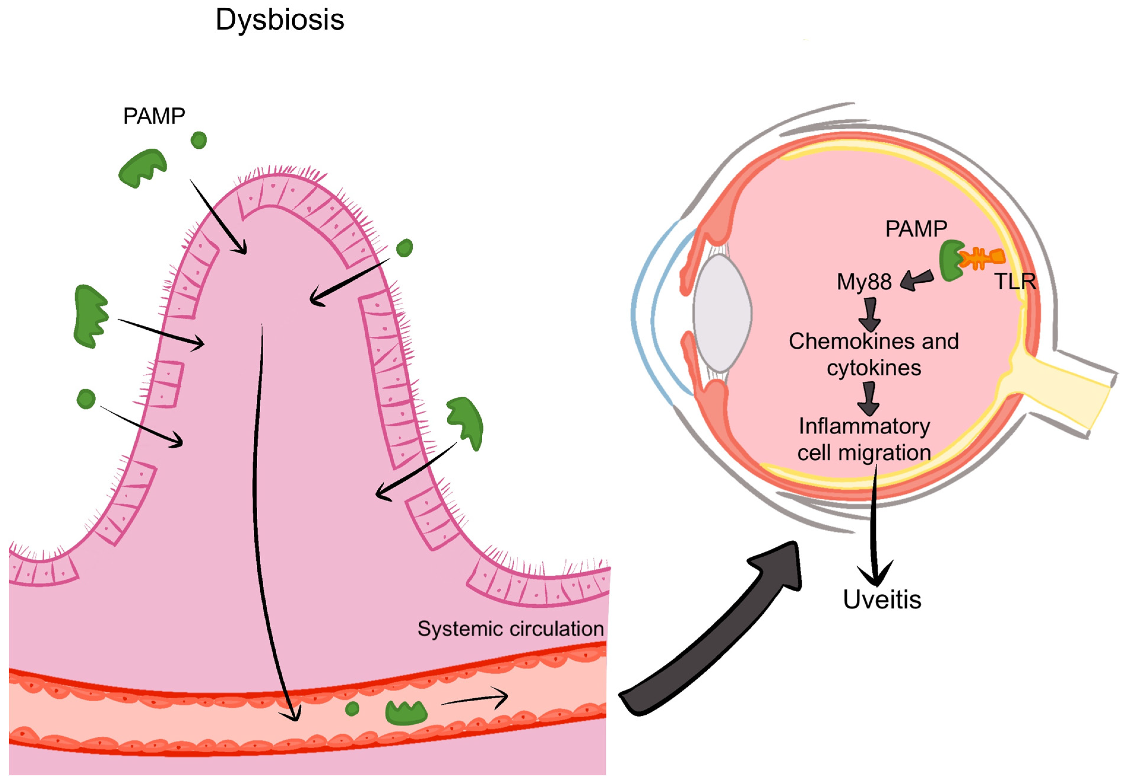 Microorganisms 13 00271 g006