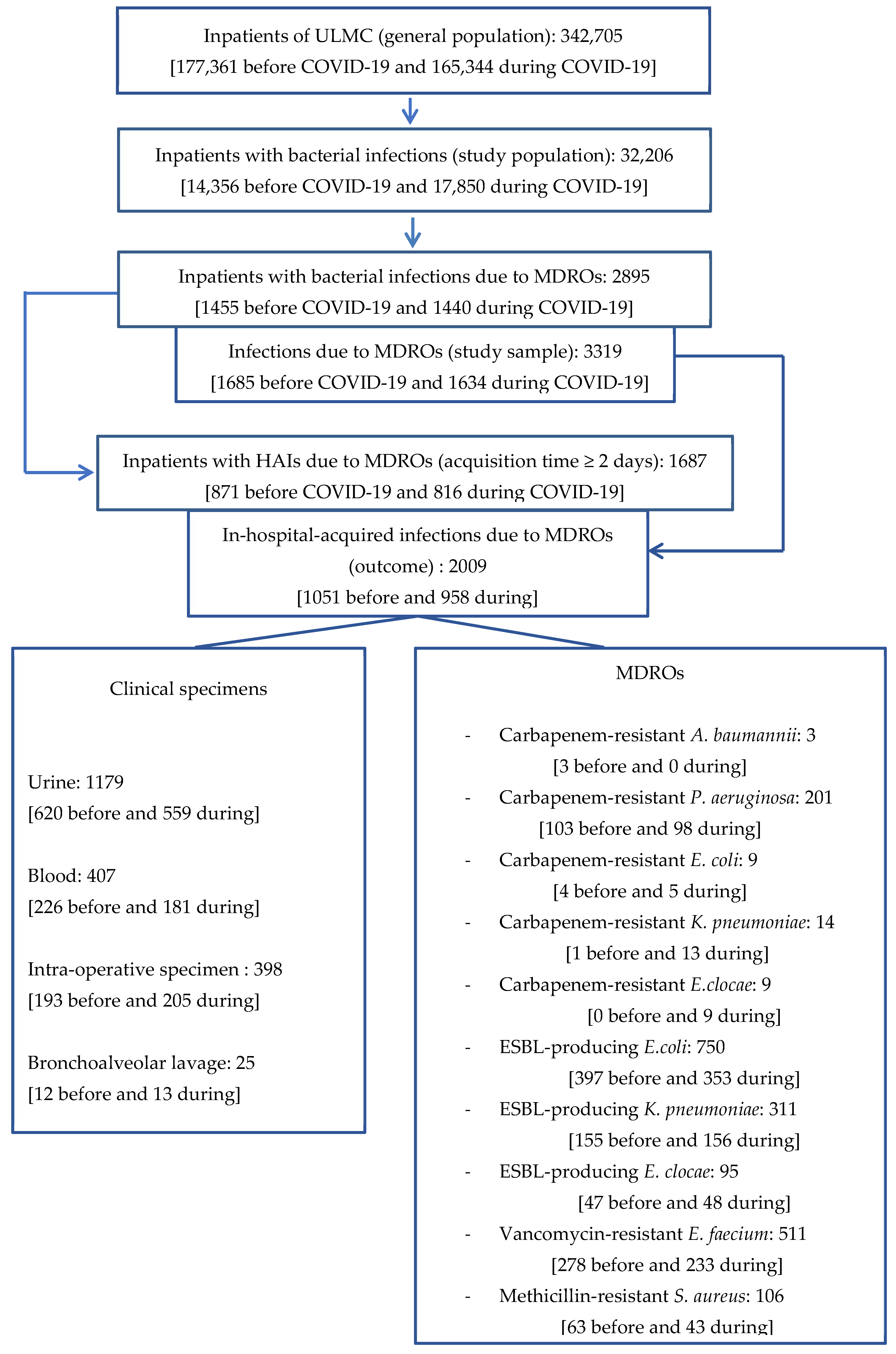 Microorganisms 13 00274 g001
