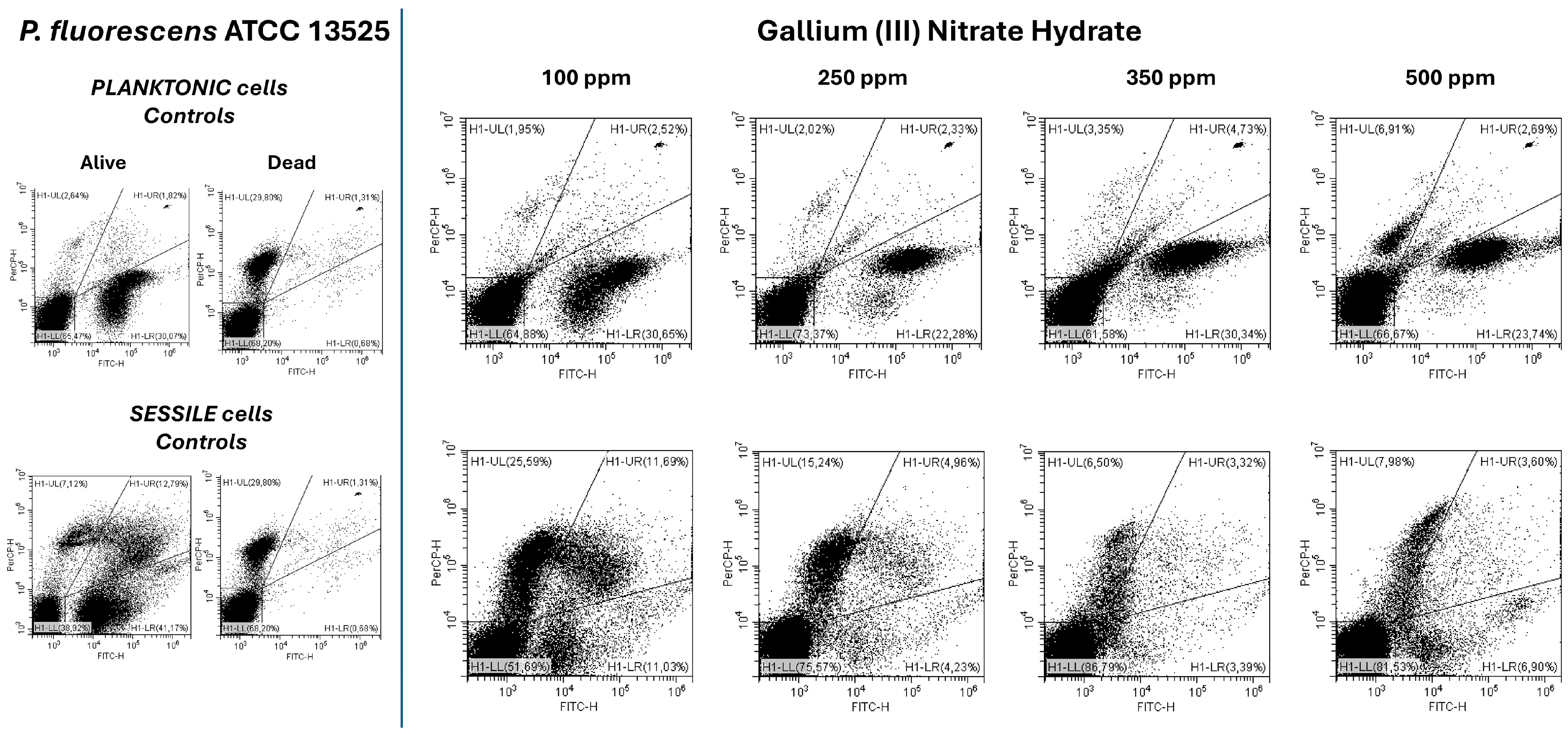Microorganisms 13 00276 g004 Microorganisms 13 00276 g004