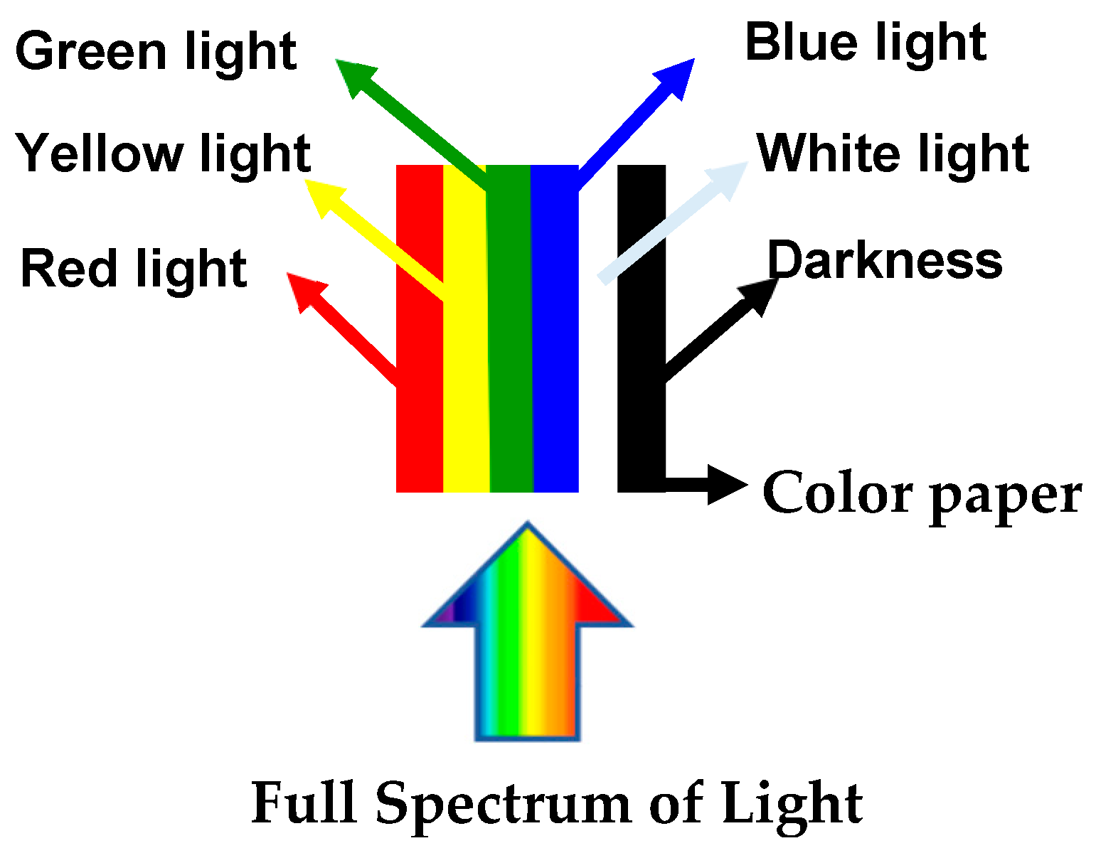 Microorganisms 13 00277 g001 Microorganisms 13 00277 g001