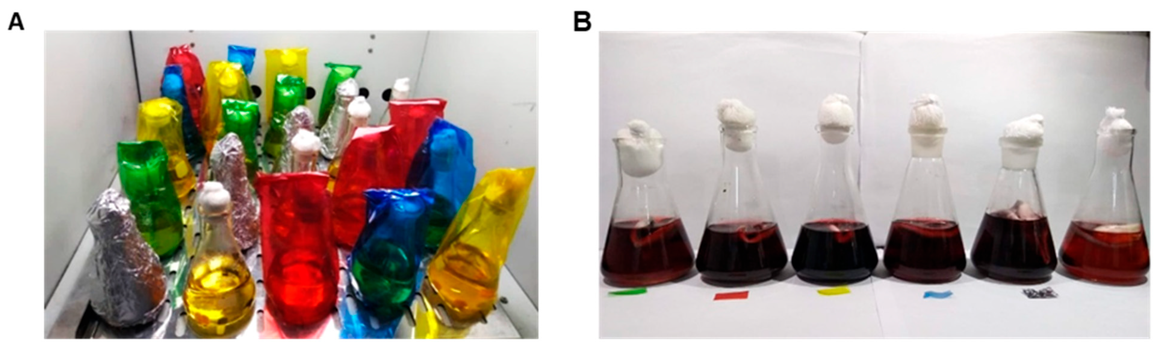 Microorganisms 13 00277 g002 Microorganisms 13 00277 g002