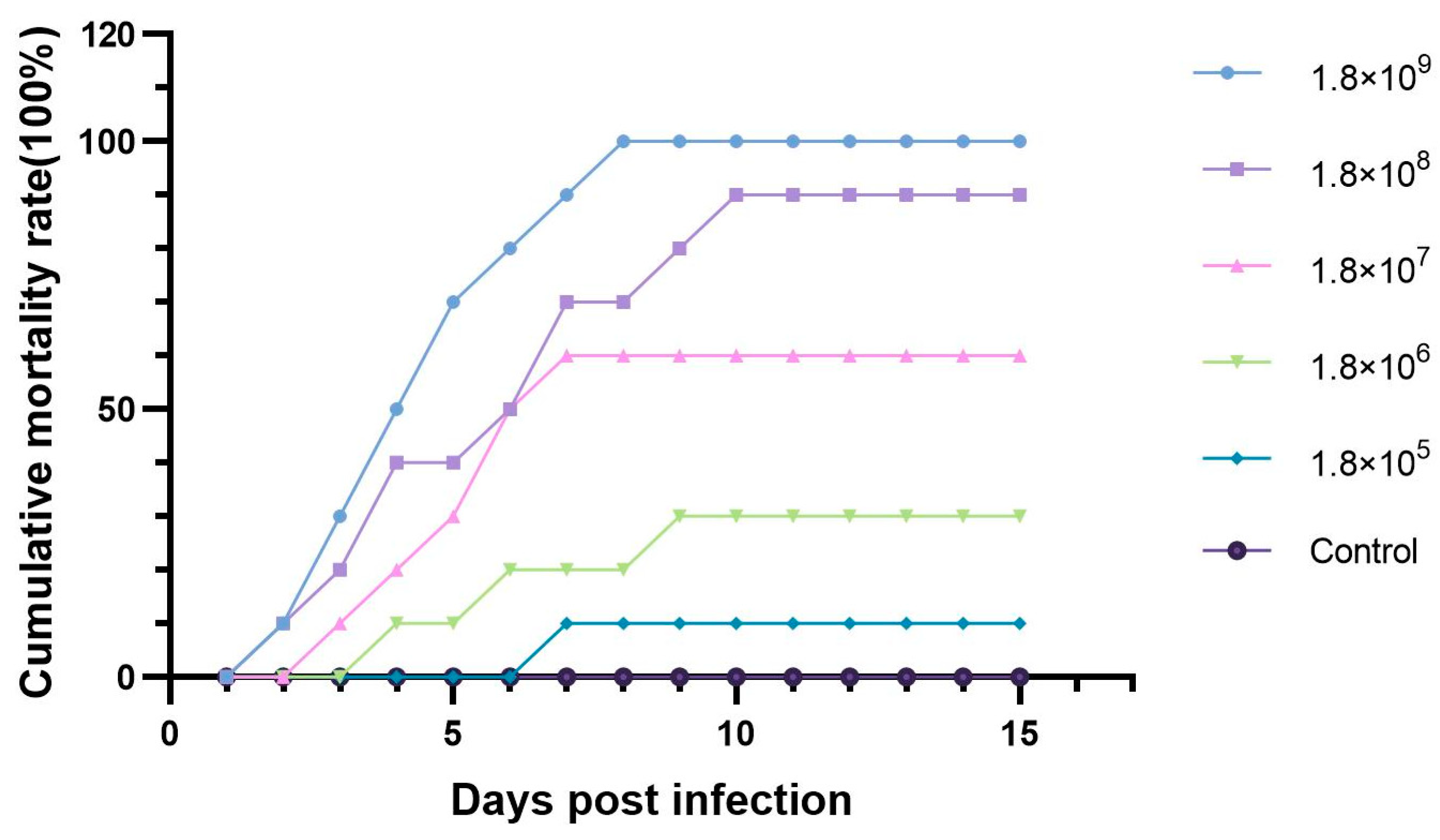 Microorganisms 13 00278 g002