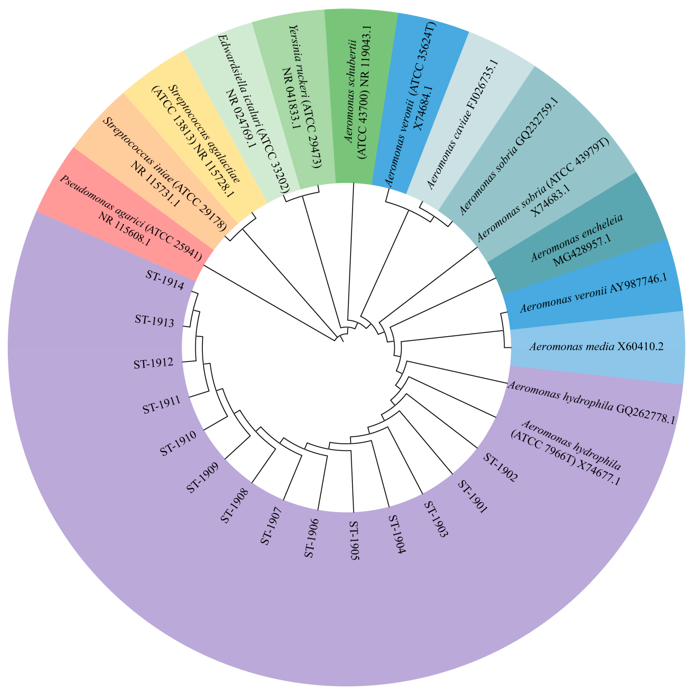 Microorganisms 13 00278 g003