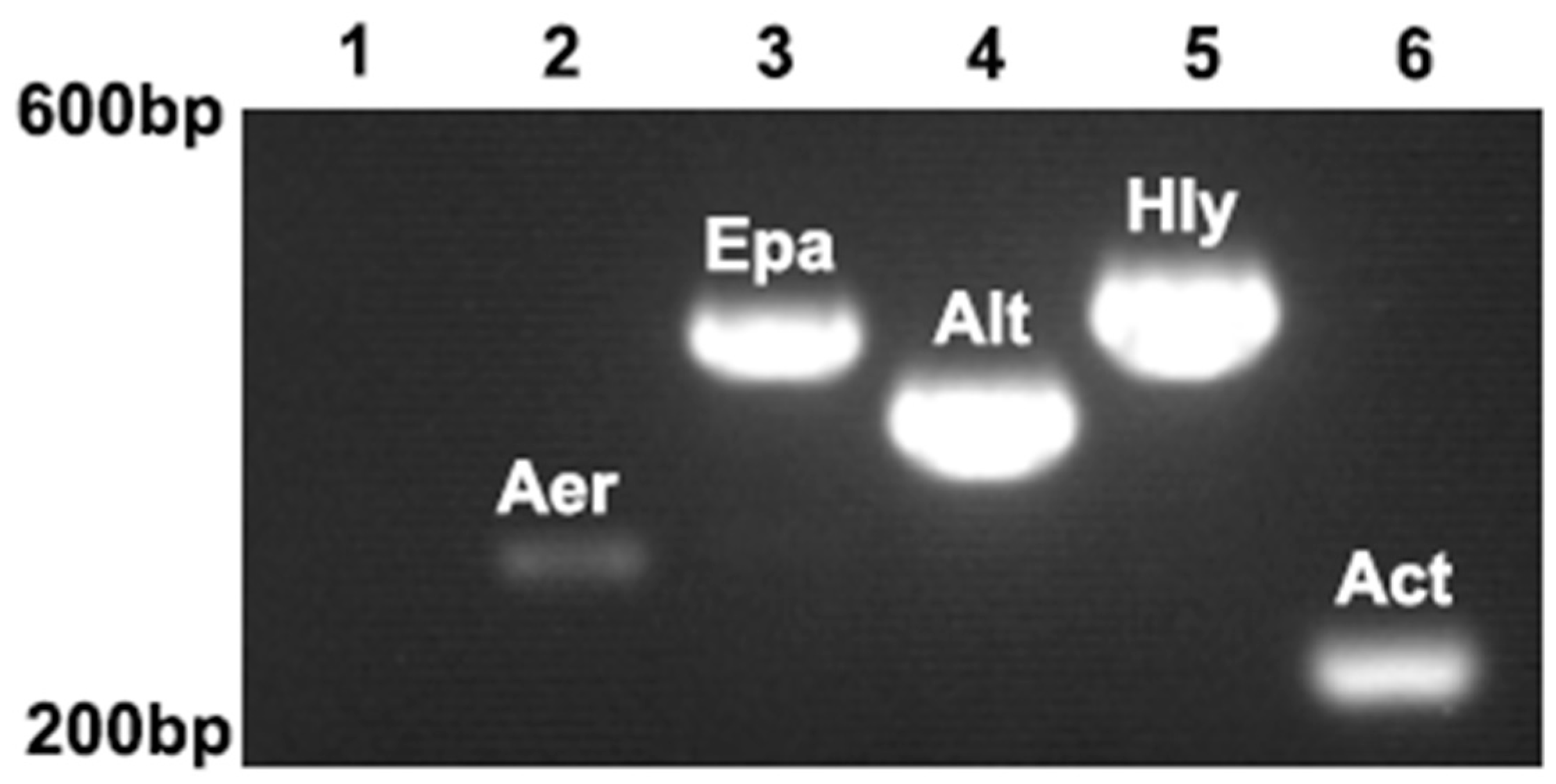 Microorganisms 13 00278 g005
