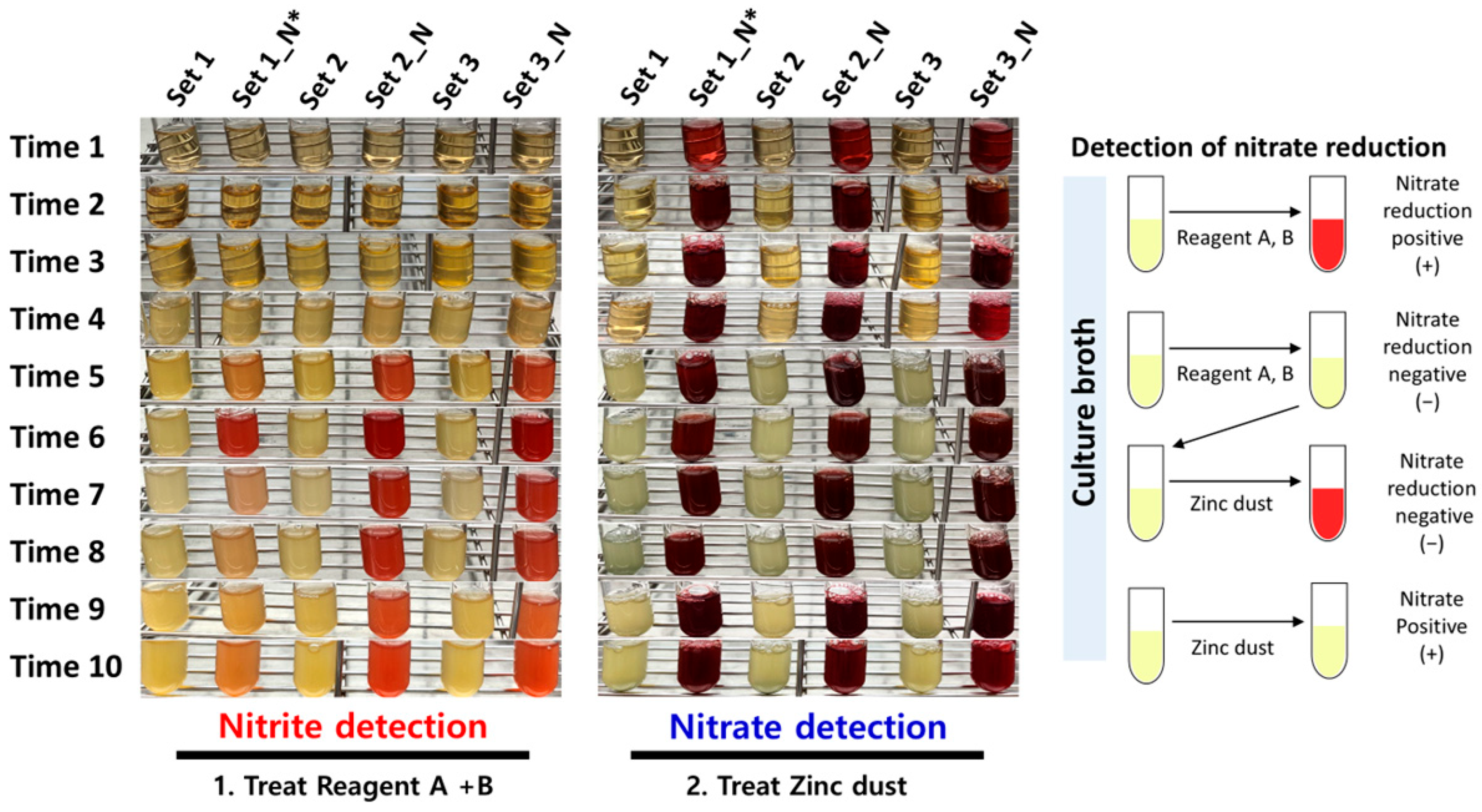 Microorganisms 13 00279 g003 Microorganisms 13 00279 g003
