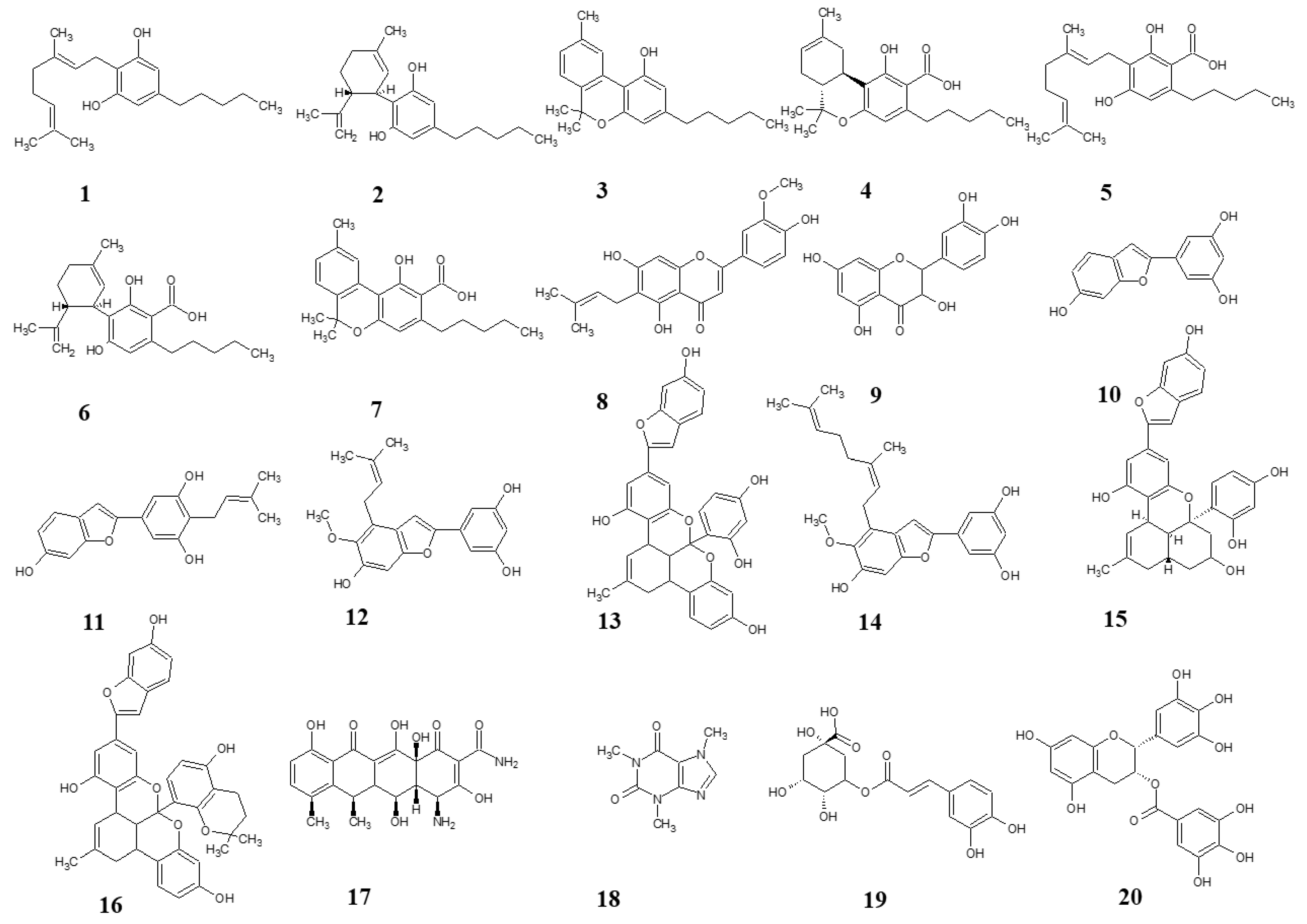Microorganisms 13 00287 g001
