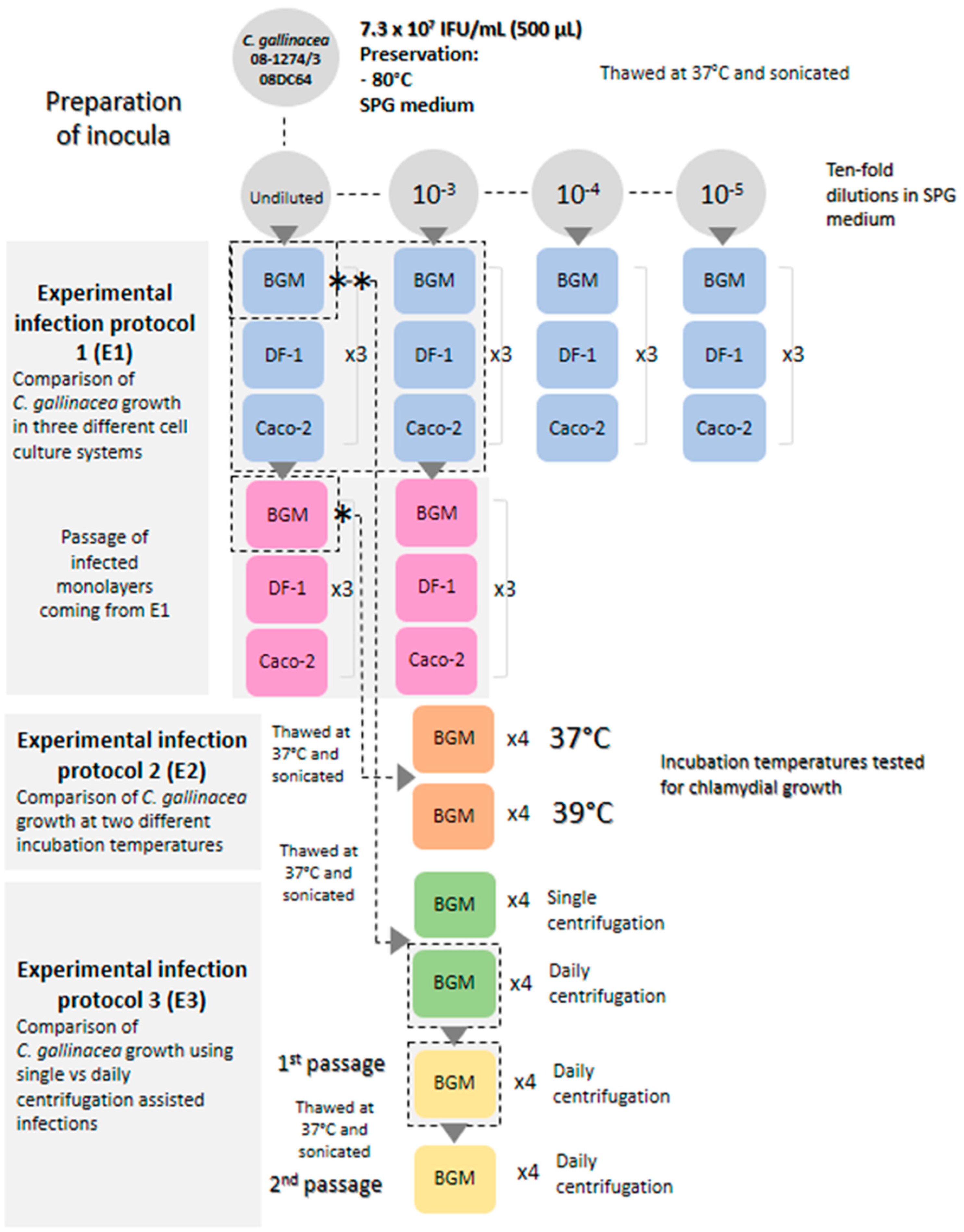 Microorganisms 13 00288 g0a1