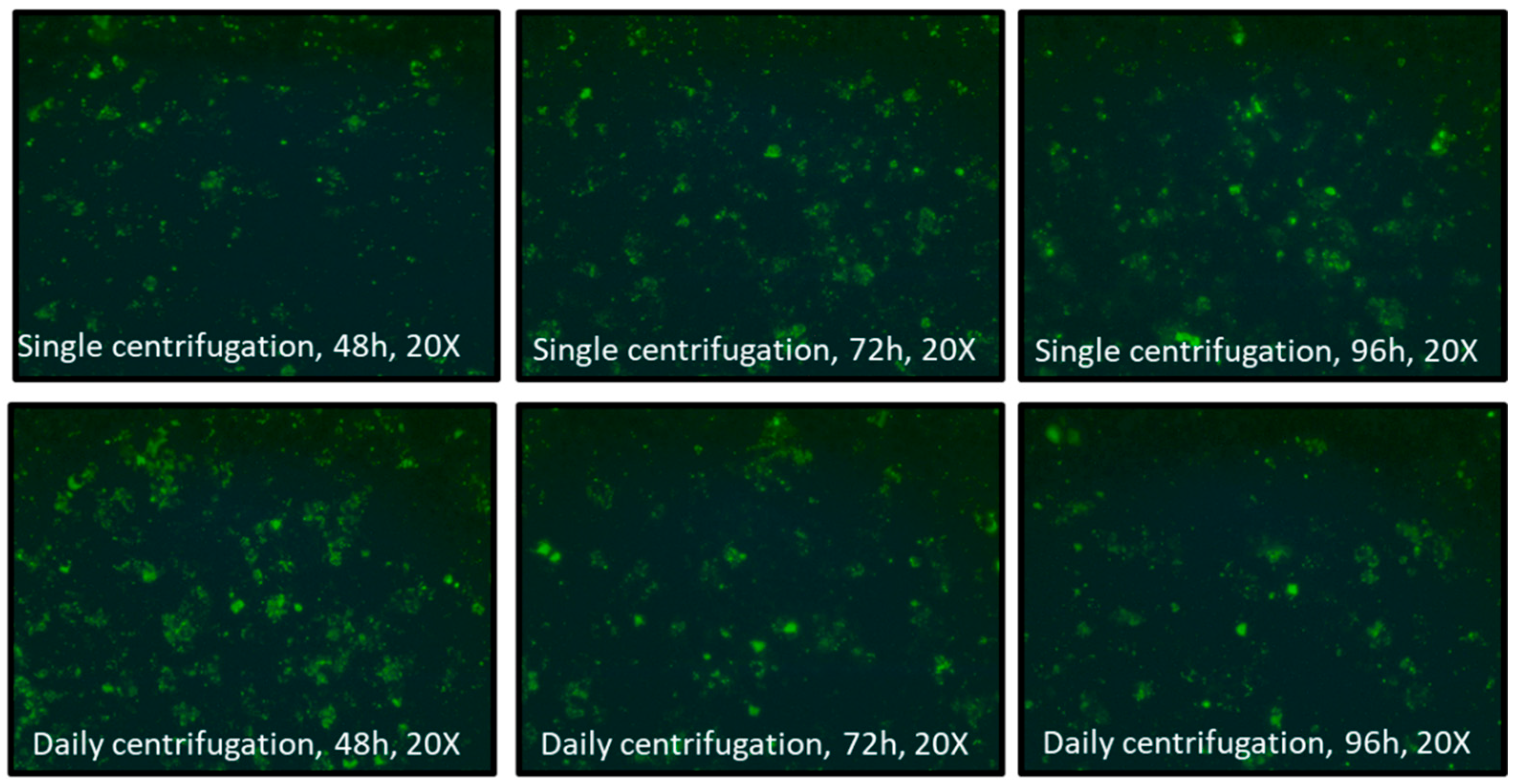 Microorganisms 13 00288 g0a3