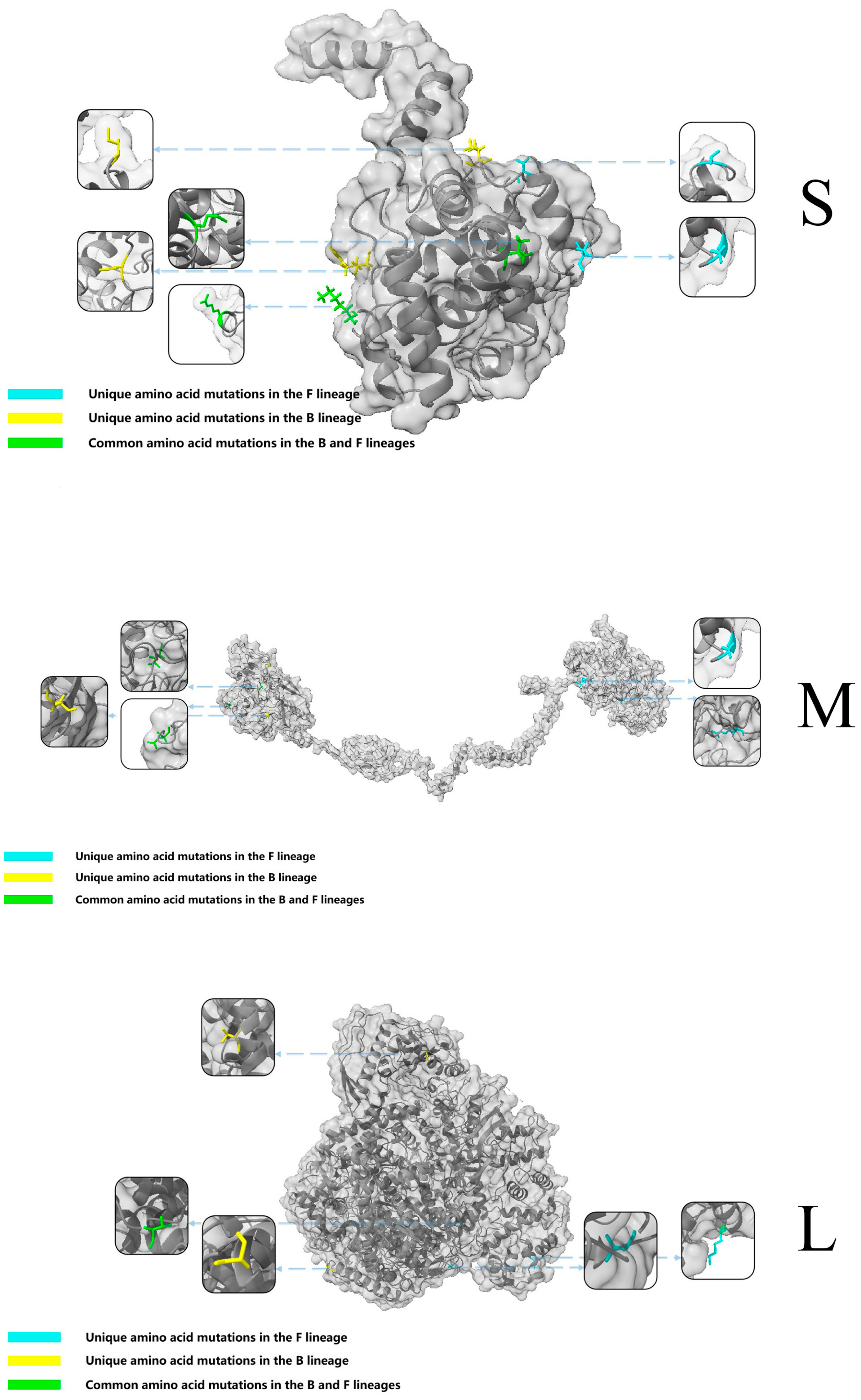 Microorganisms 13 00292 g004